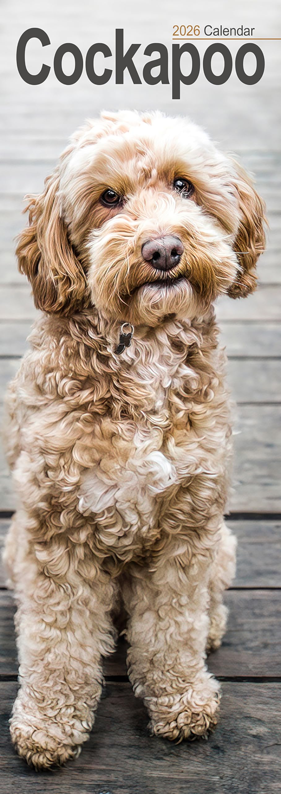 Cockapoo Slim Calendar 2026 Dog Breed Slimline Calendar - 12 Month Books