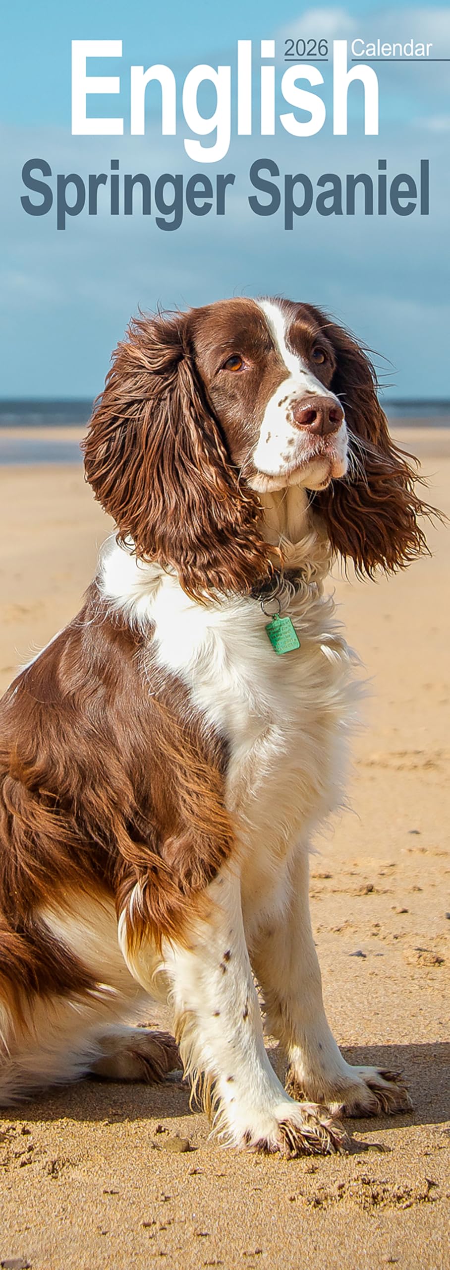 English Springer Spaniel Slim Calendar 2026 Dog Breed Slimline Calendar - 12 Month Books