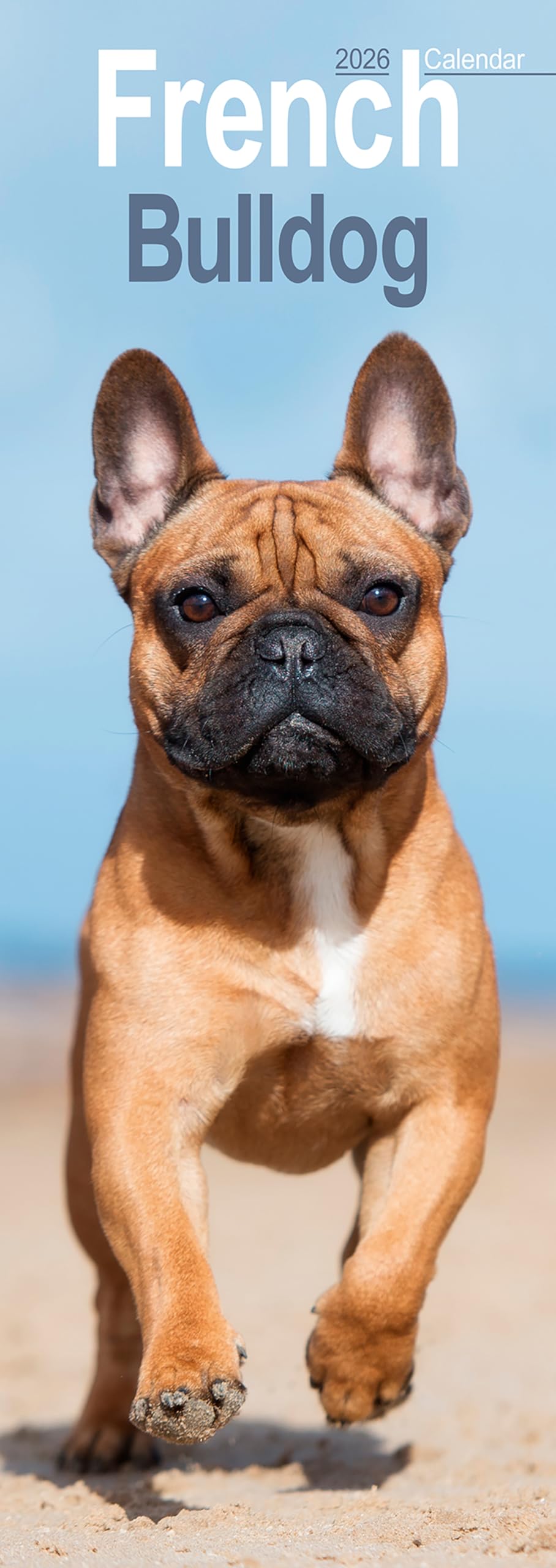 French Bulldog Slim Calendar 2026 Dog Breed Slimline Calendar - 12 Month Books