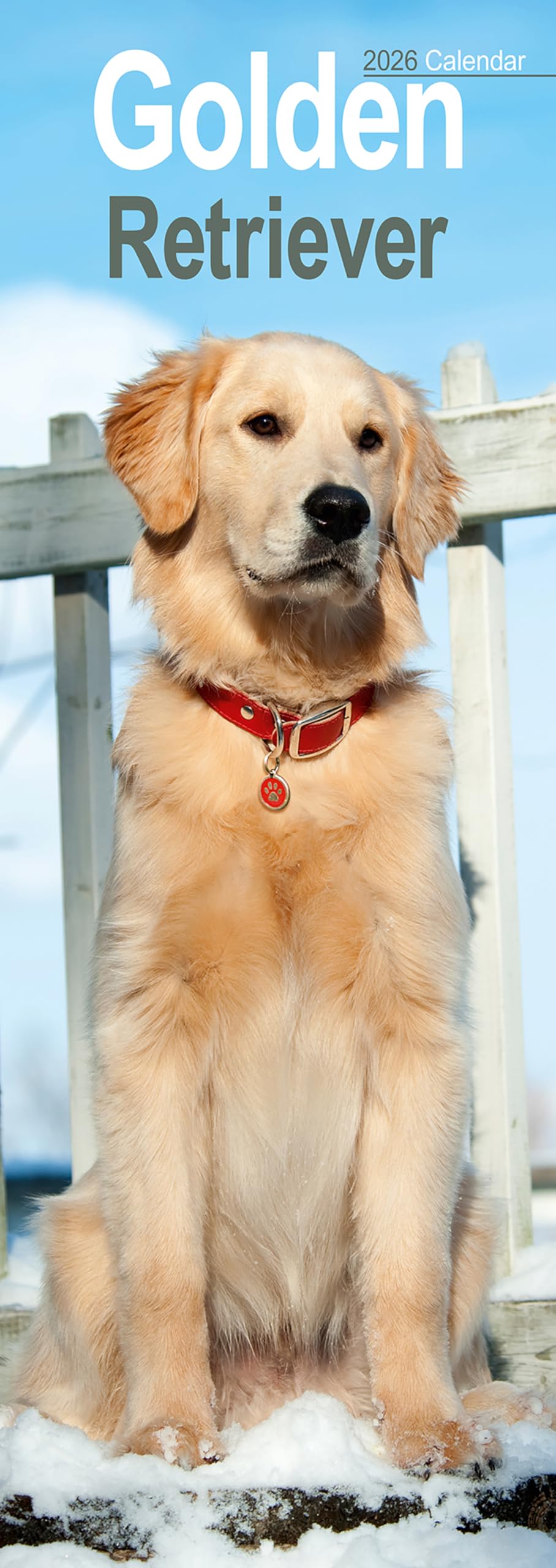 Golden Retriever Slim Calendar 2026 Dog Breed Slimline Calendar - 12 Month Books