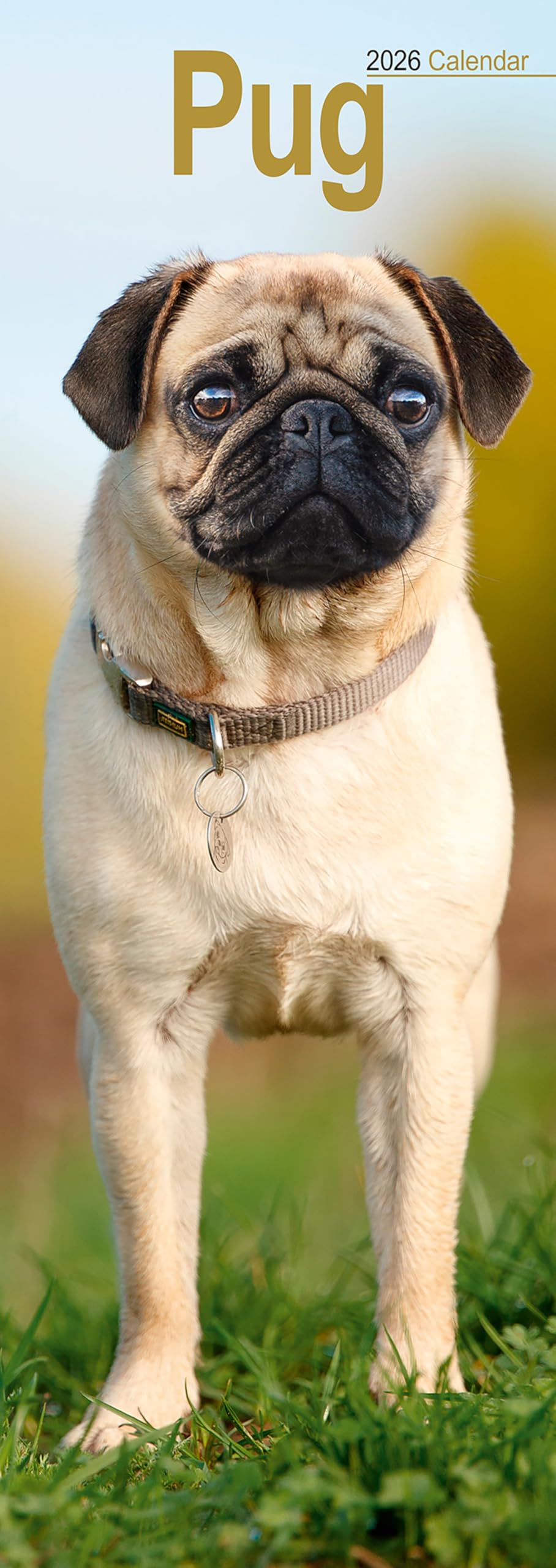 Pug Slim Calendar 2026 Dog Breed Slimline Calendar - 12 Month Books