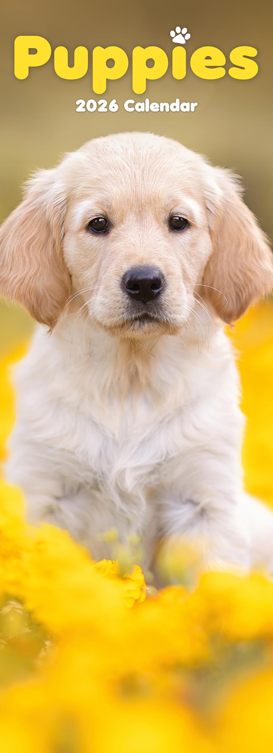 Puppies Slim Calendar 2026 Dog Breed Slimline Calendar - 12 Month Books