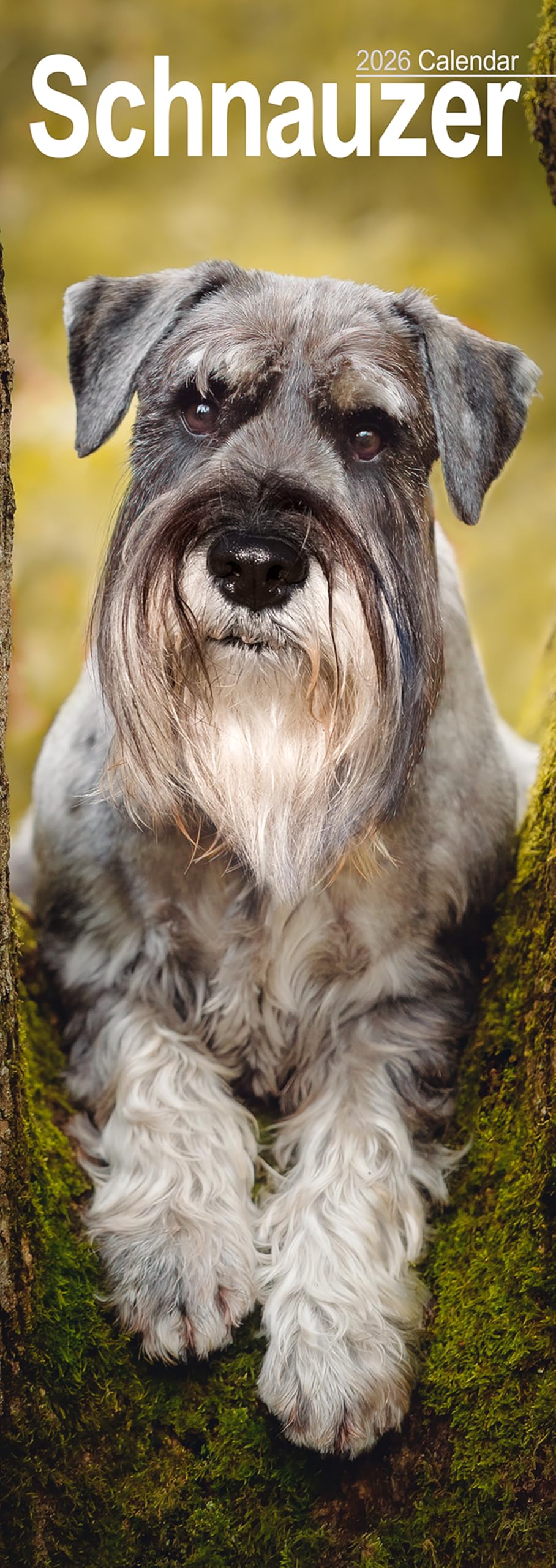 Schnauzer Slim Calendar 2026 Dog Breed Slimline Calendar - 12 Month Books