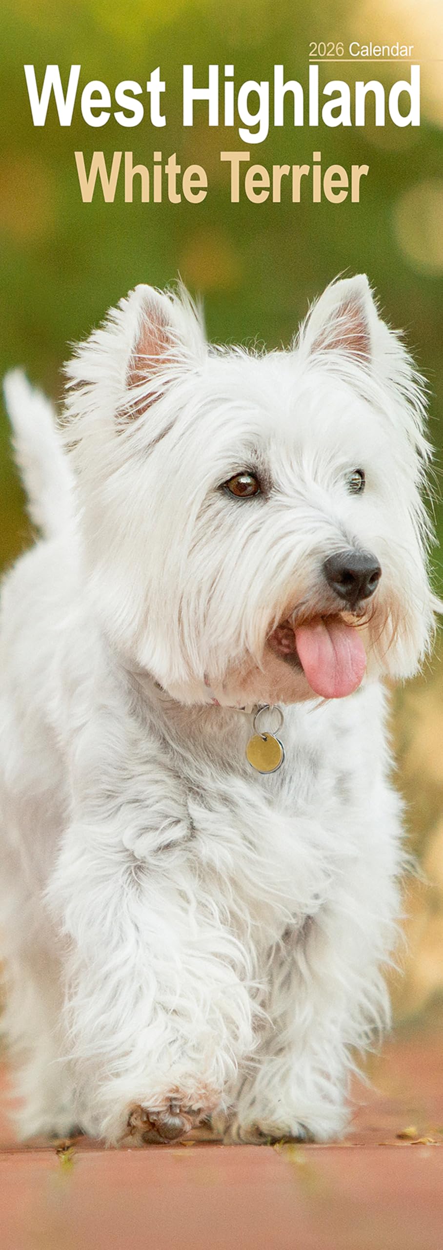 West Highland Terrier Slim Calendar 2026 Dog Breed Slimline Calendar - 12 Month Books