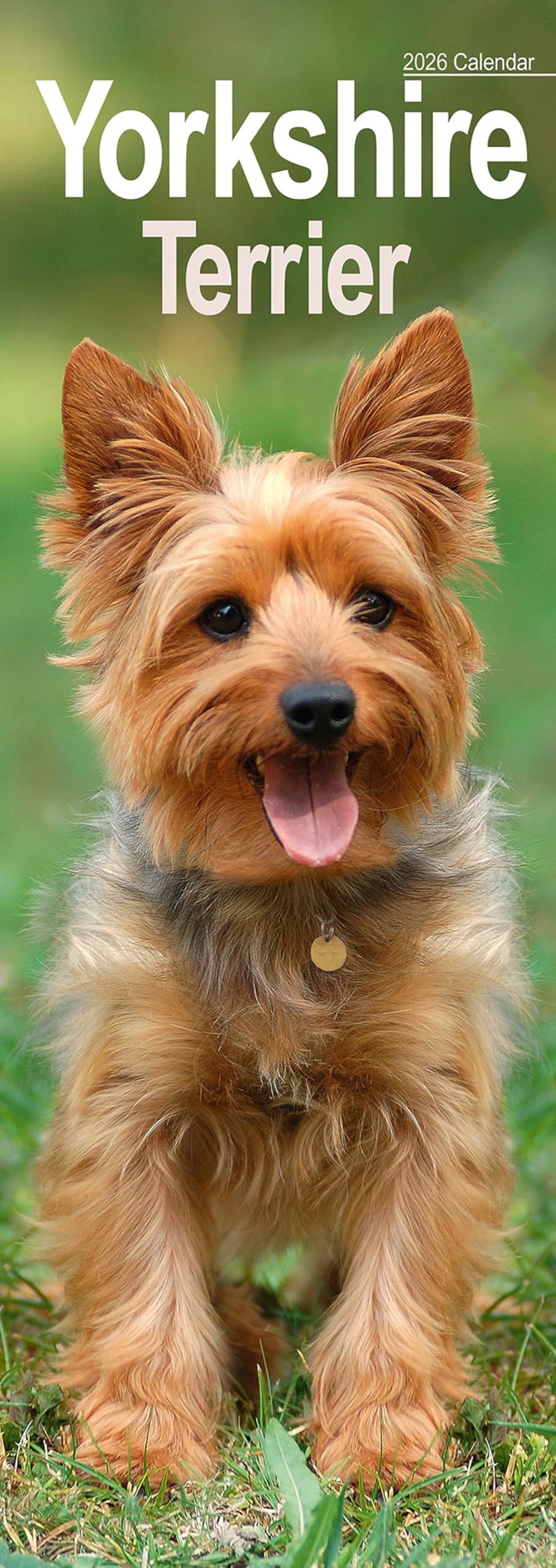 Yorkshire Terrier Slim Calendar 2026 Dog Breed Slimline Calendar - 12 Month Books