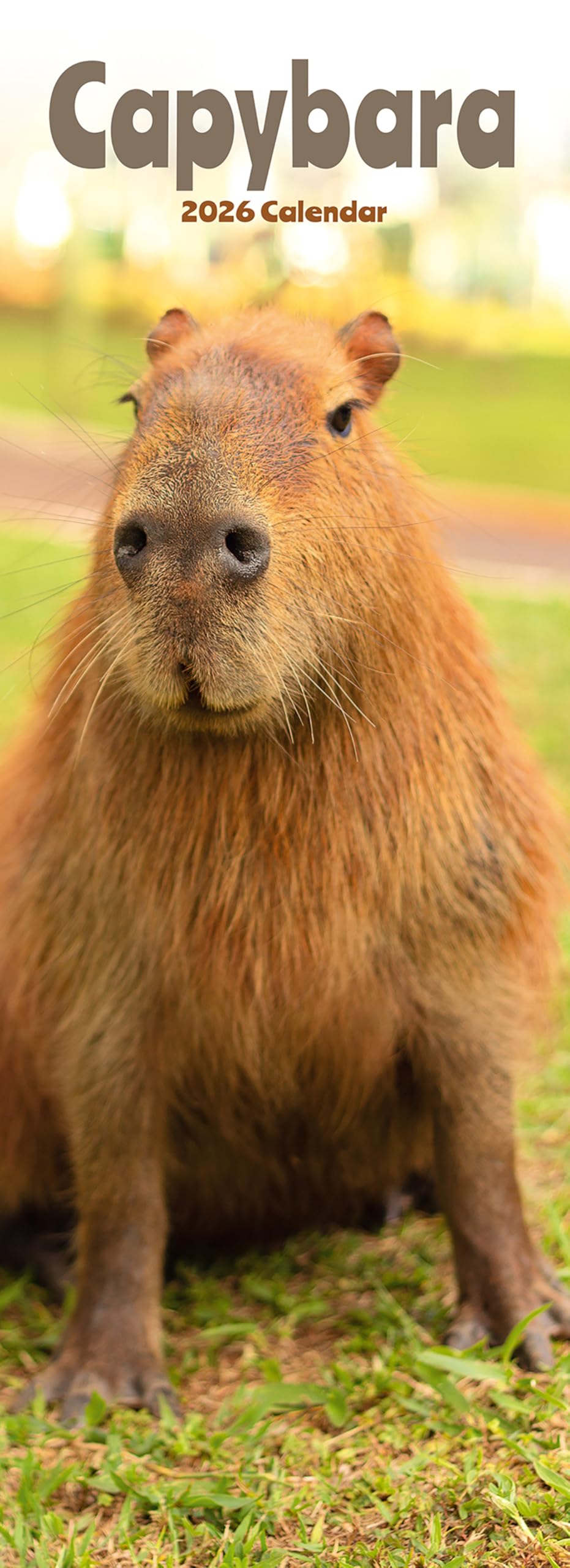 Capybara Slim Calendar 2026 Cute Slimline Calendar - 12 Month Books