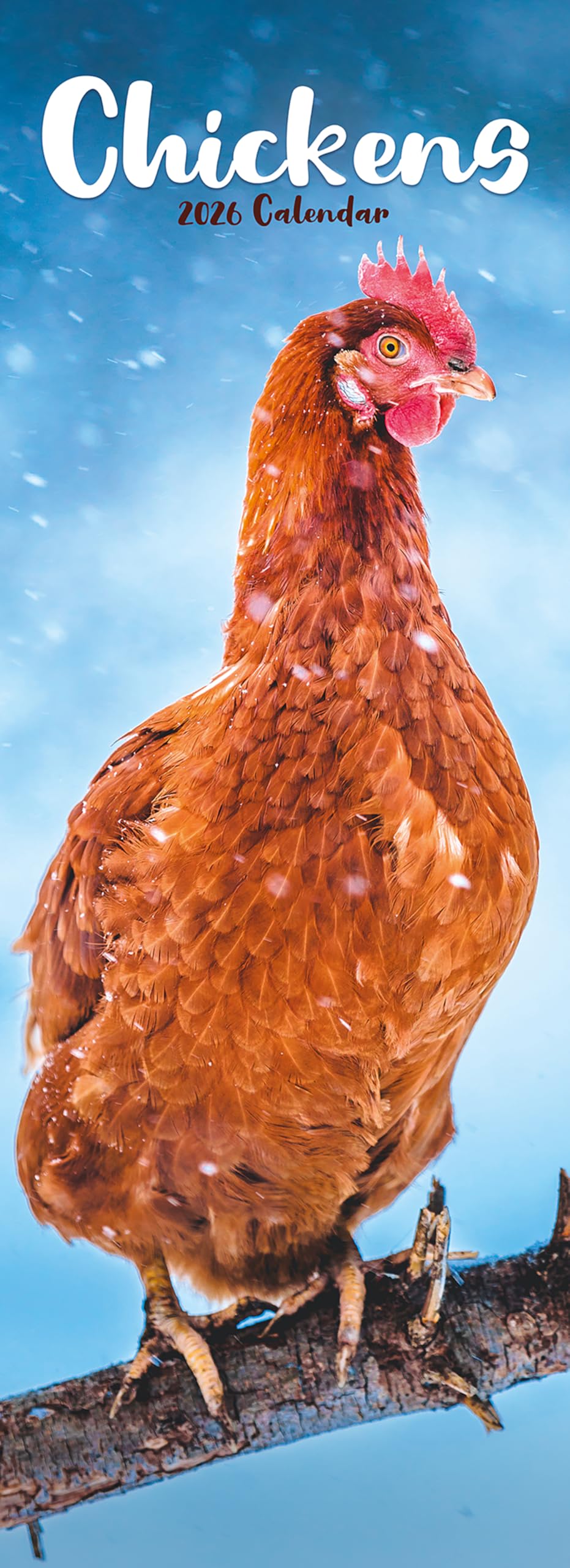 Chickens Slim Calendar 2026 Bird Slimline Calendar - 12 Month Books