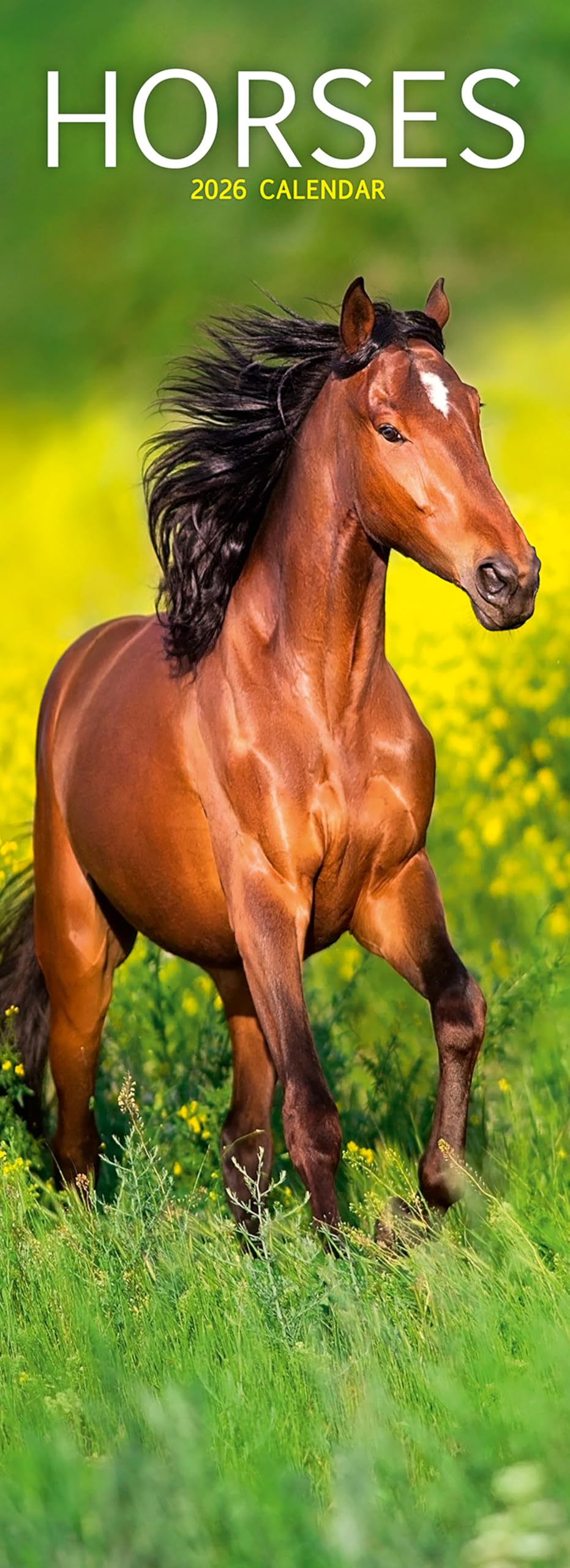 Horses Slim Calendar 2026 Horses Slimline Calendar - 12 Month Books