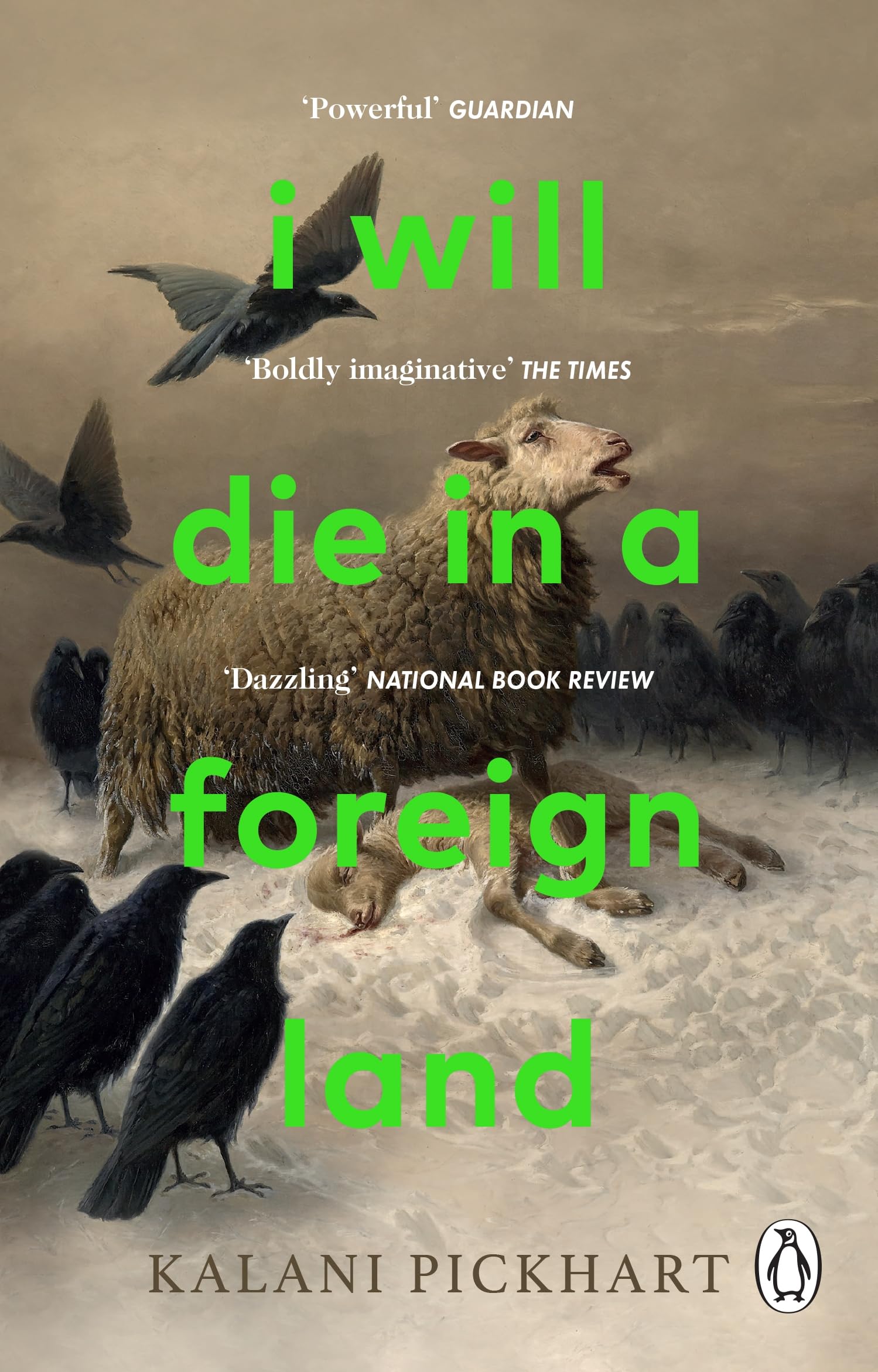 Product Image: I Will Die in a Foreign Land