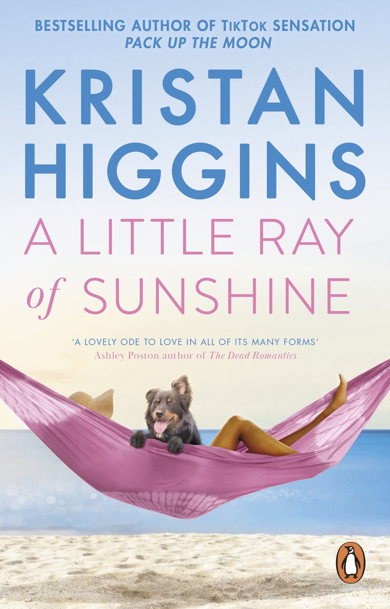 A Little Ray of Sunshine Contemporary literature