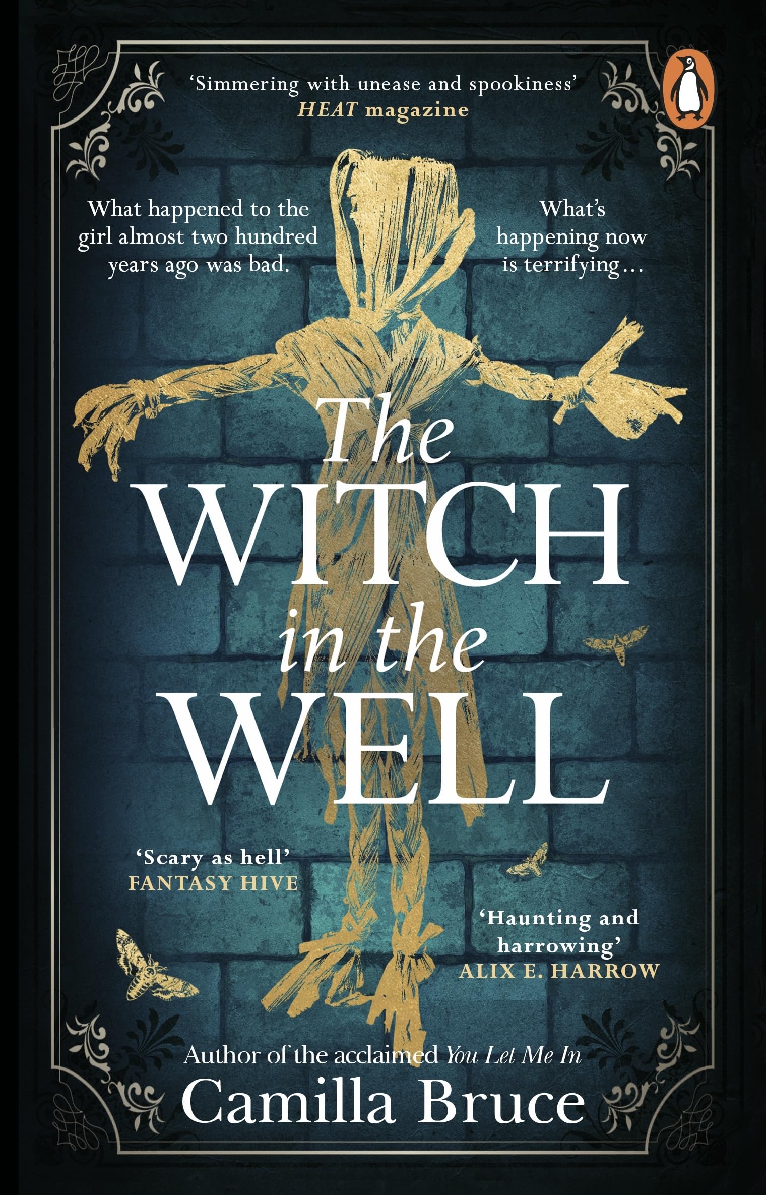 The Witch in the Well: A deliciously disturbing Gothic tale of a revenge reaching out across the years Social Sciences