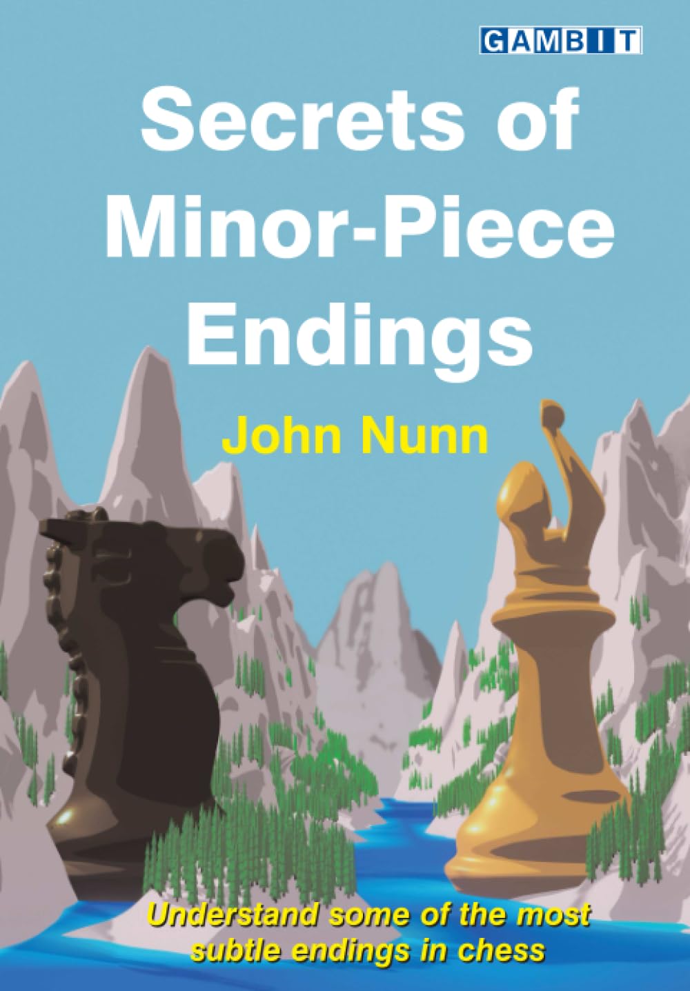 Secrets of Minor-Piece Endings (Secrets of Chess Endings) Leisure & Fun