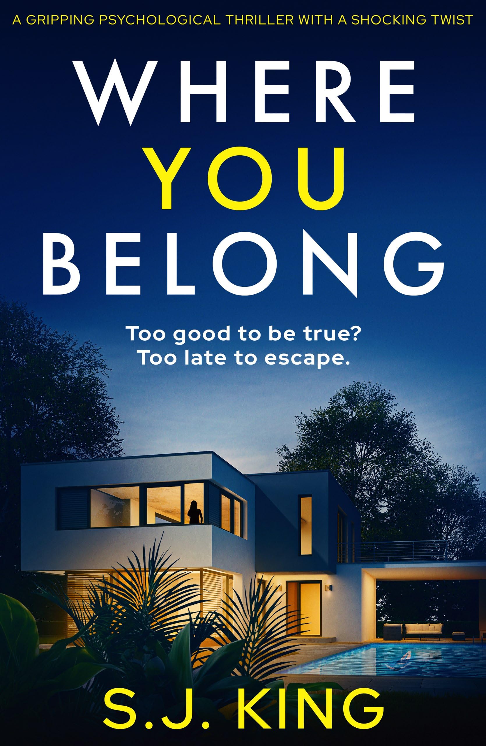Where You Belong: A gripping psychological thriller with a shocking twist book