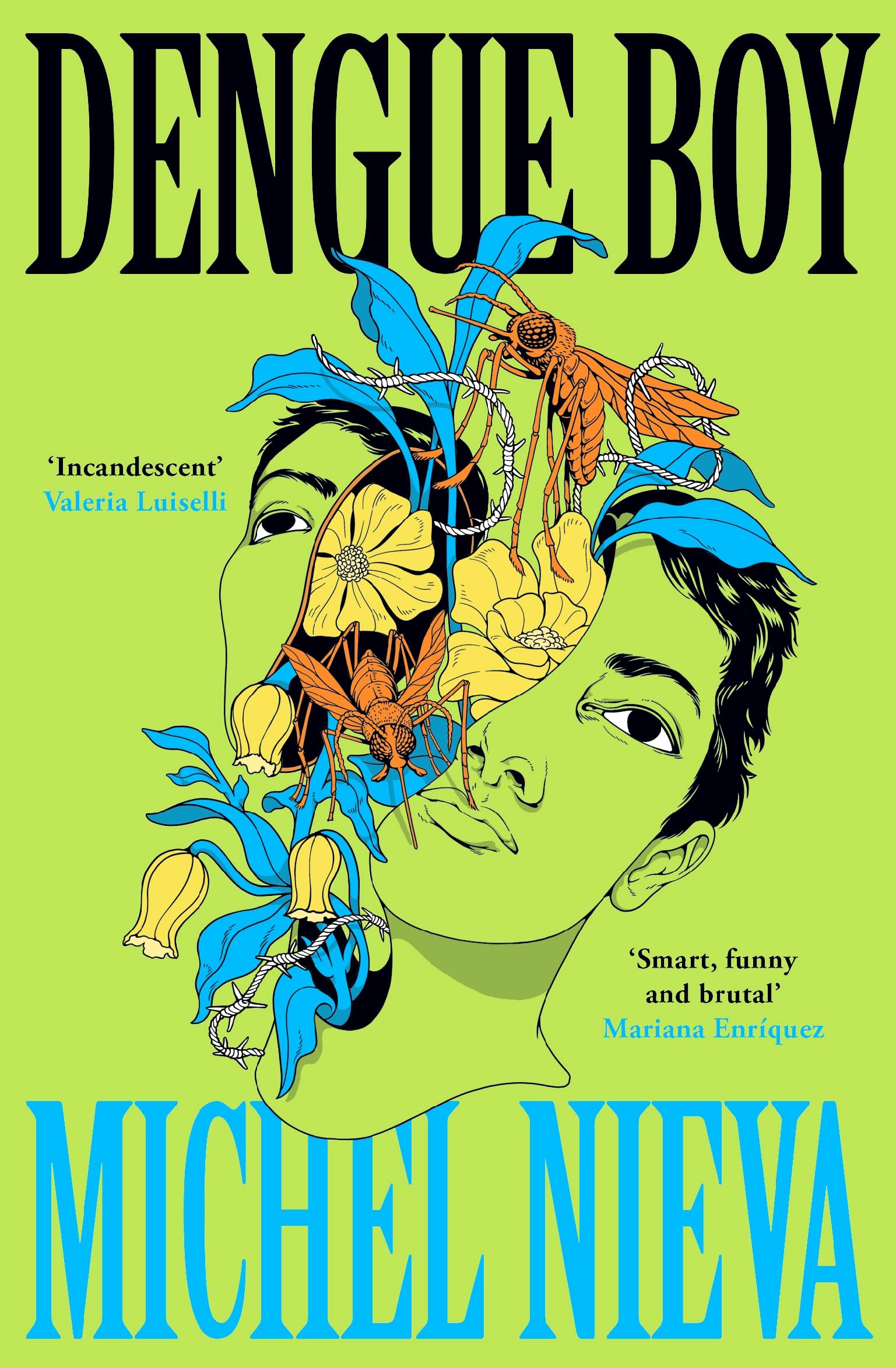 Product Image: Dengue Boy