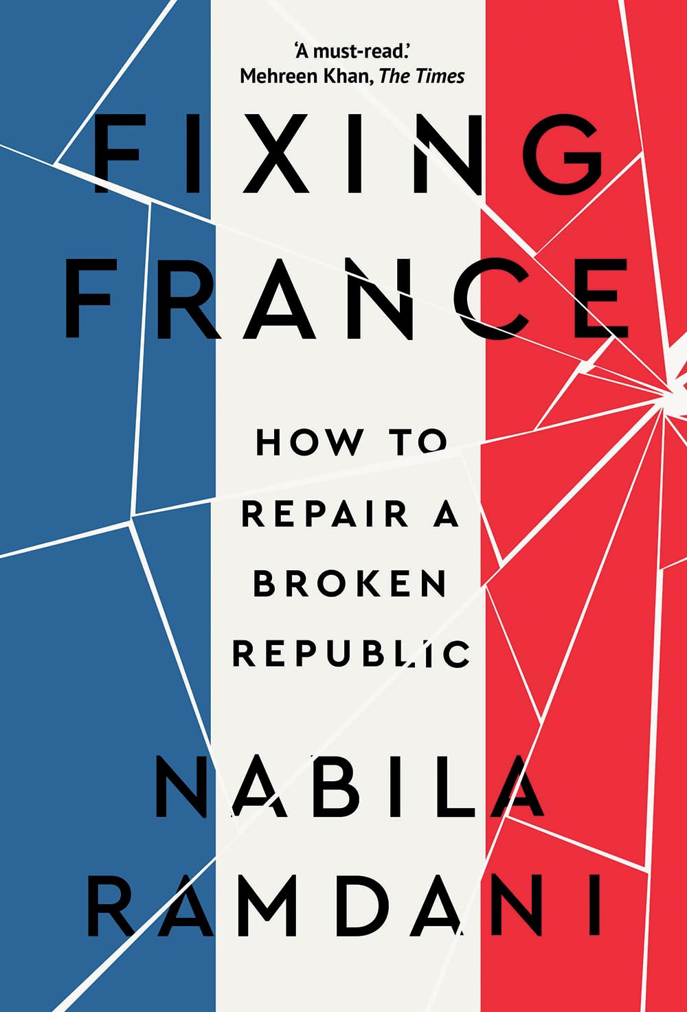 Fixing France: How to Repair a Broken Republic Politics & History