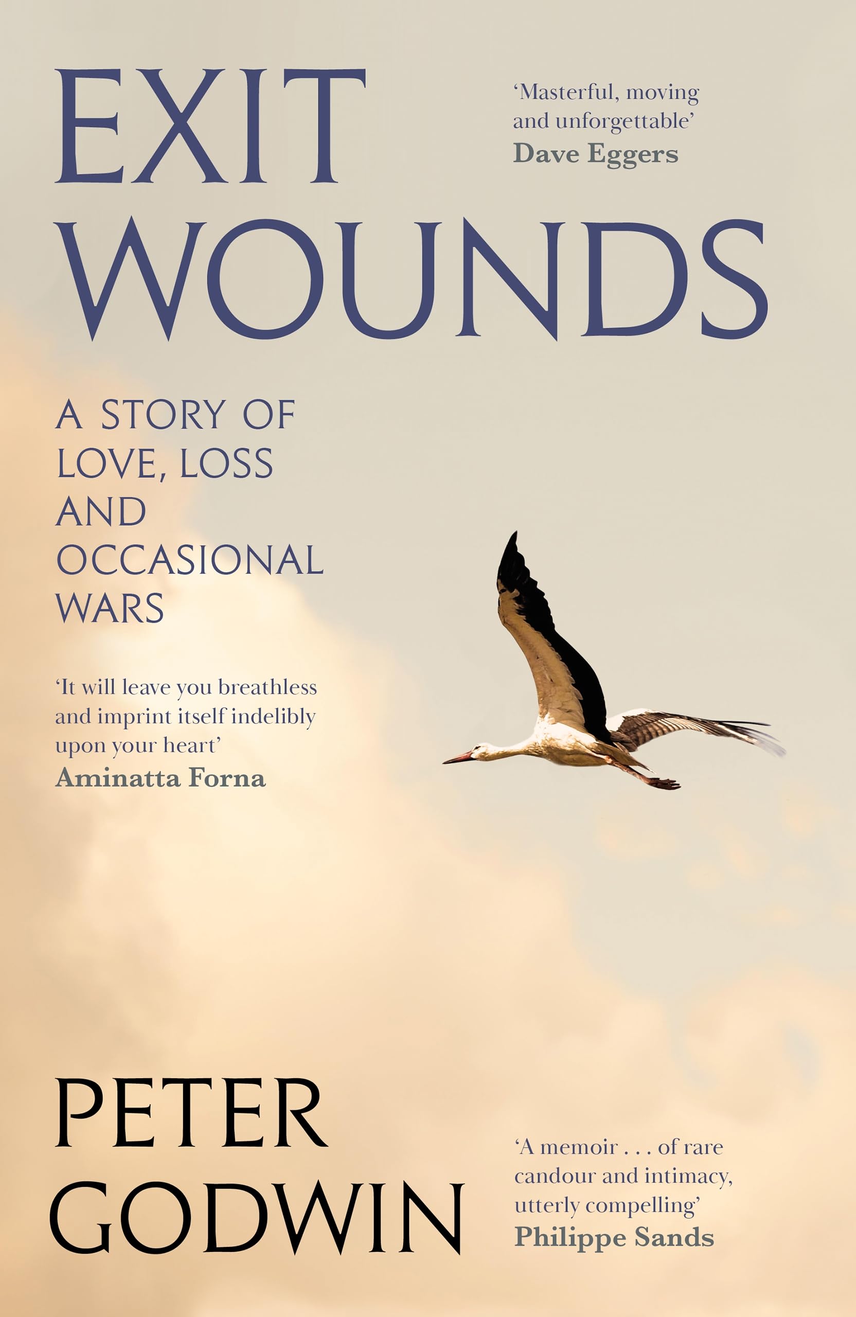Exit Wounds: A Story of Love, Loss and Occasional Wars Art & Literature