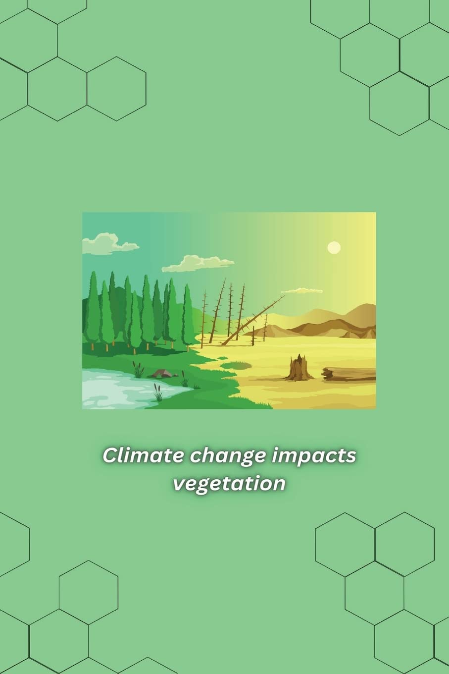 Climate change impacts vegetation and plant responses Natural Sciences