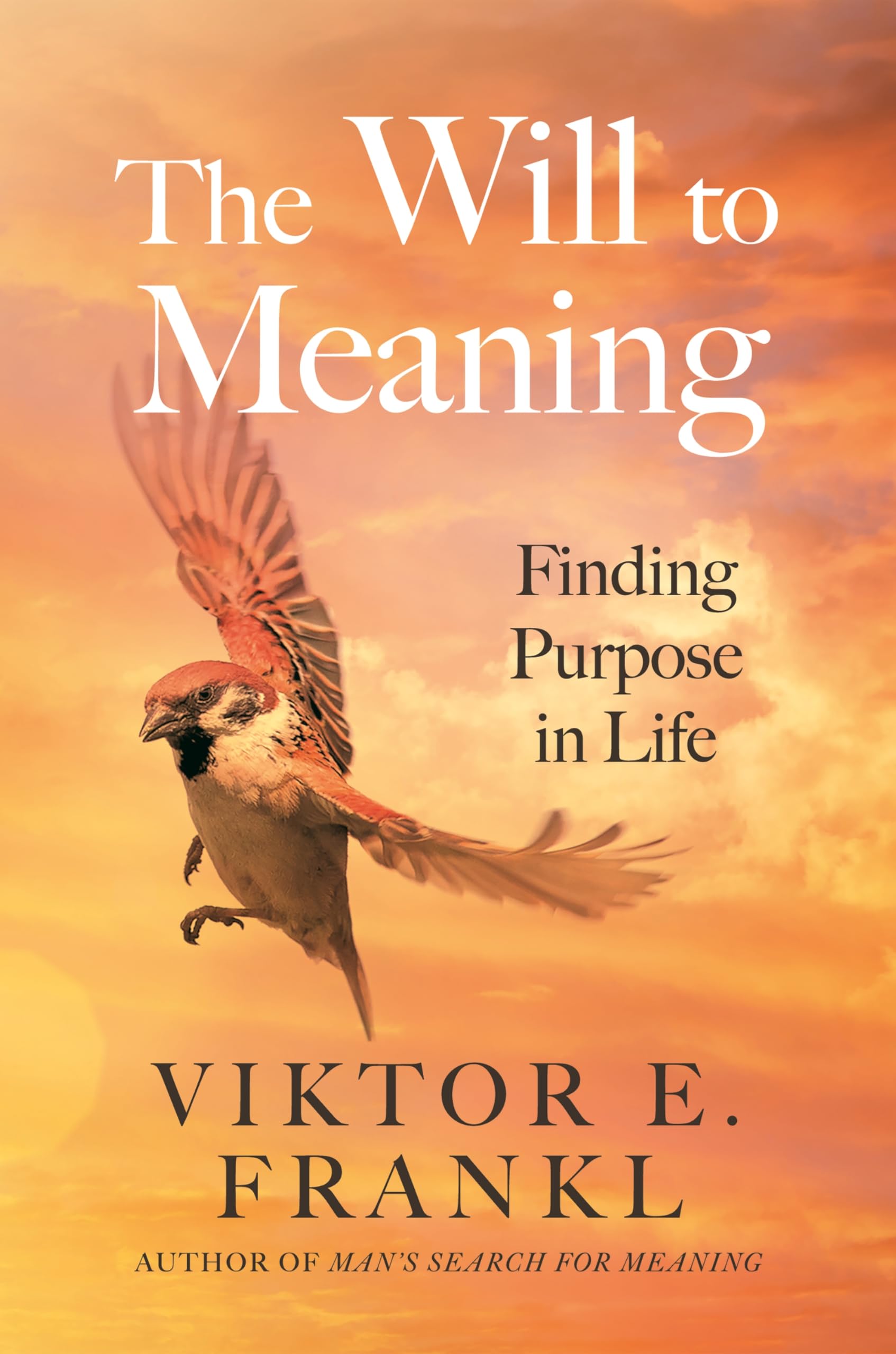 Product Image: The Will to Meaning