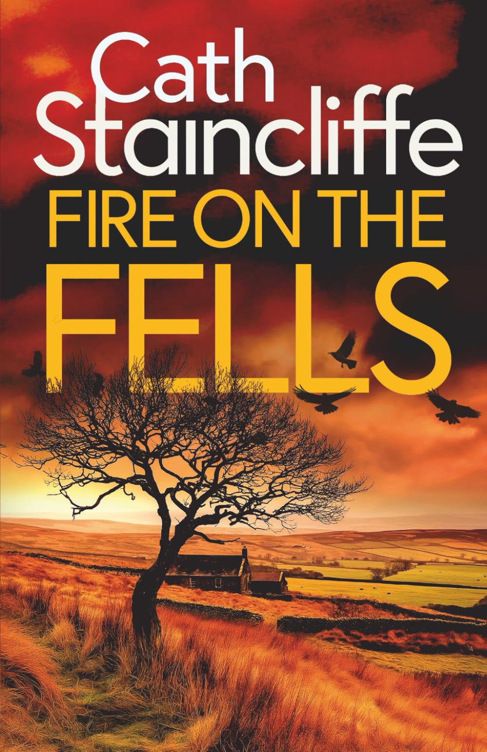FIRE ON THE FELLS an absolutely gripping British crime thriller full of twists (Detectives Donovan & Young, Band 2) Detective & CSI