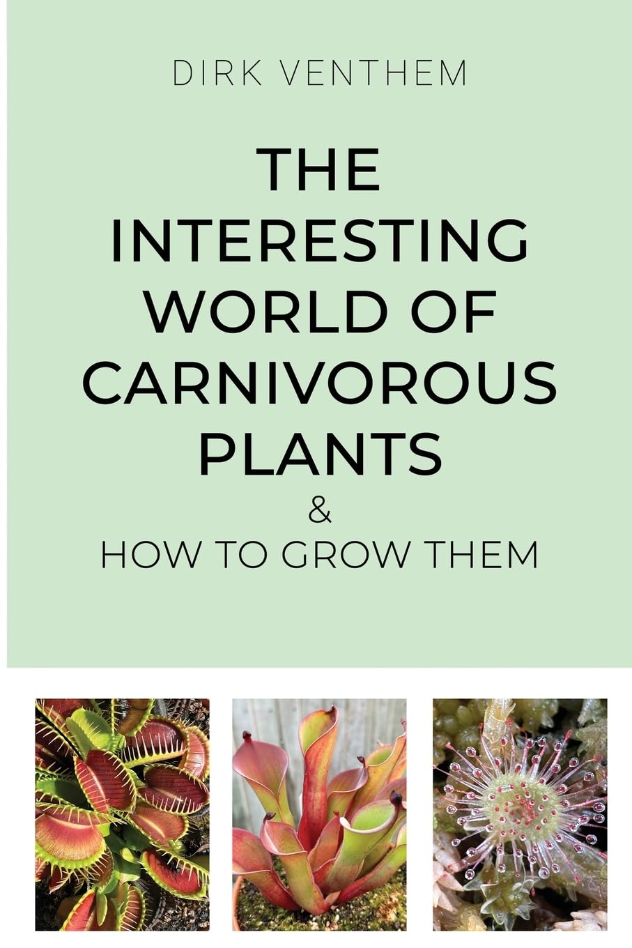 The Interesting World of Carnivorous Plants & How to Grow Them Garden & Plants