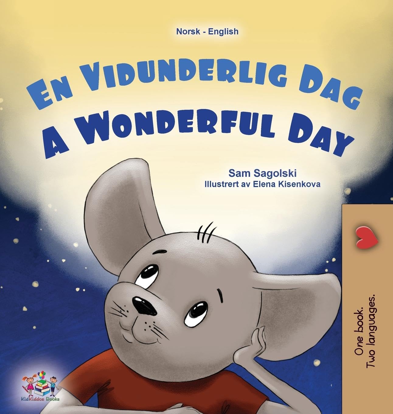 A Wonderful Day (Norwegian English Bilingual Children's Book) Foreign Languages ​​& Dictionaries