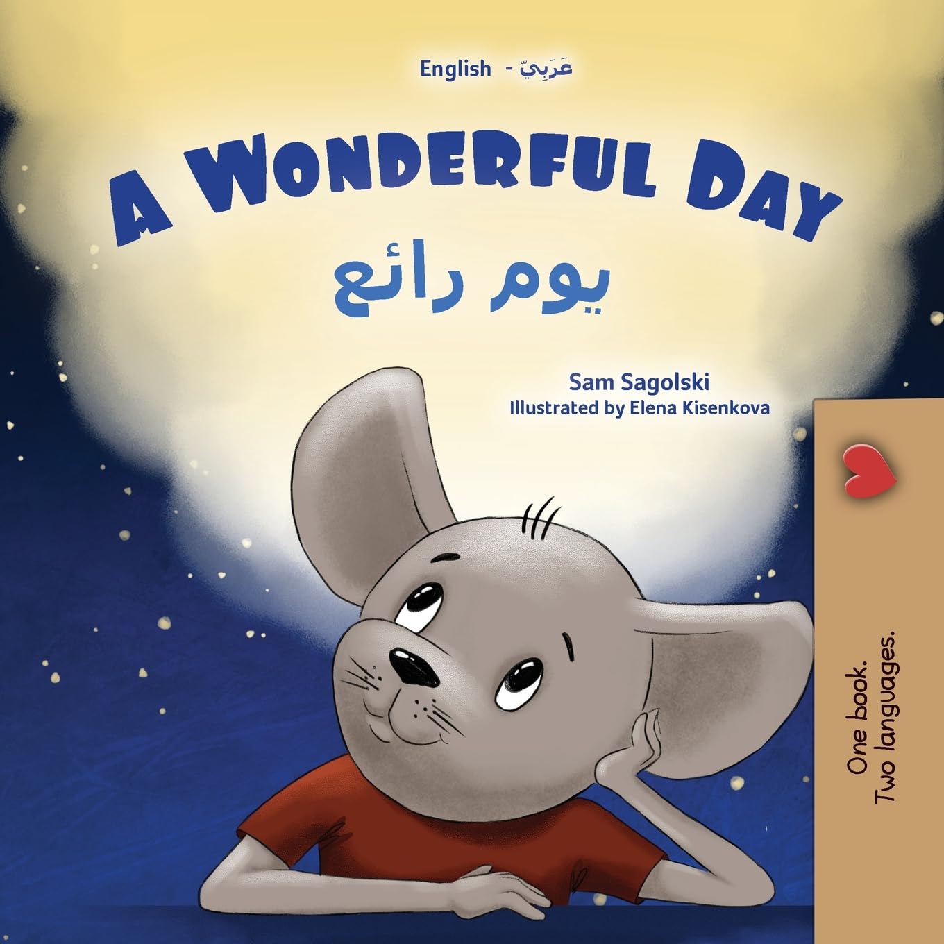 A Wonderful Day (English Arabic Bilingual Children's Book) Foreign Languages ​​& Dictionaries