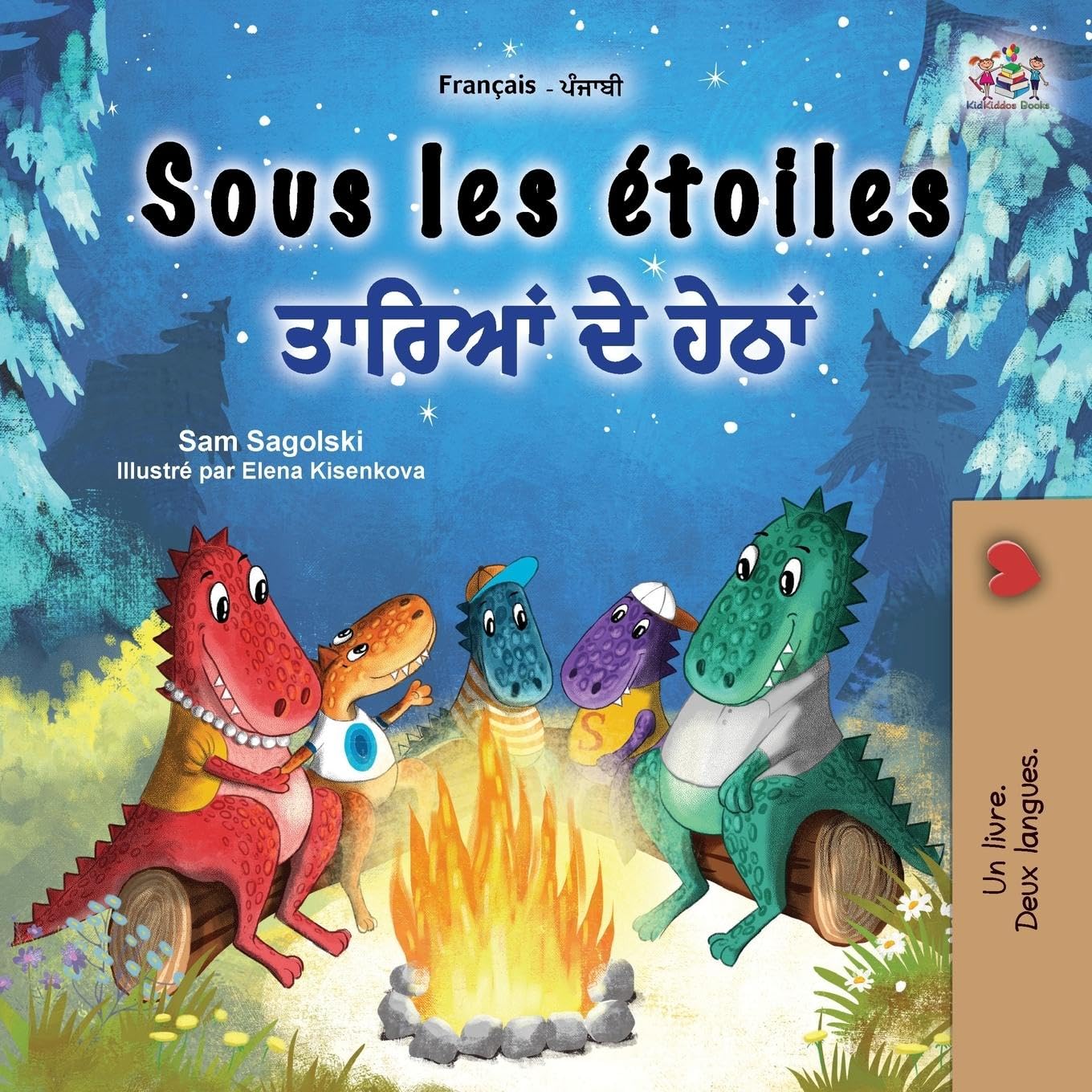 Sous les étoiles (Livre pour enfants bilingue français-pendjabi) Foreign Languages ​​& Dictionaries
