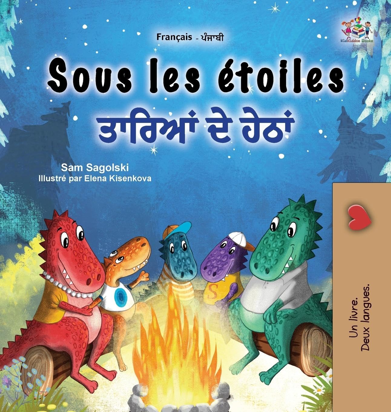 Sous les étoiles (Livre pour enfants bilingue français-pendjabi) Foreign Languages ​​& Dictionaries