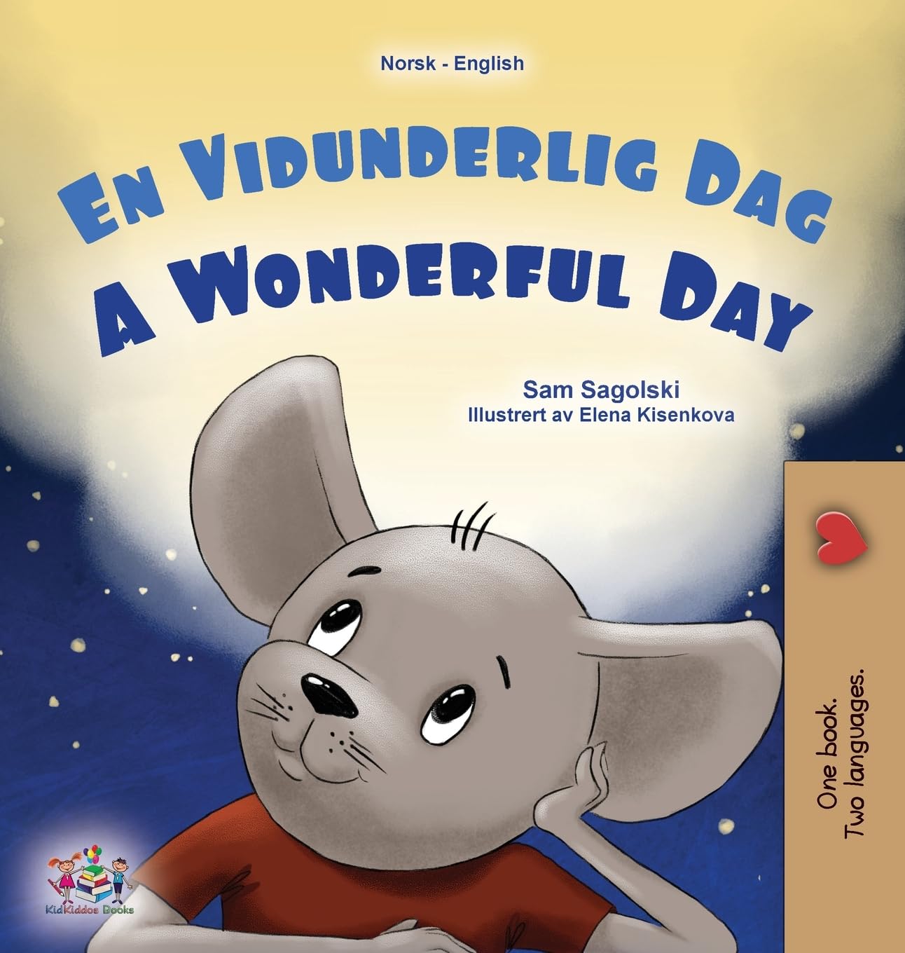 A Wonderful Day (Norwegian English Bilingual Children's Book) Foreign Languages ​​& Dictionaries