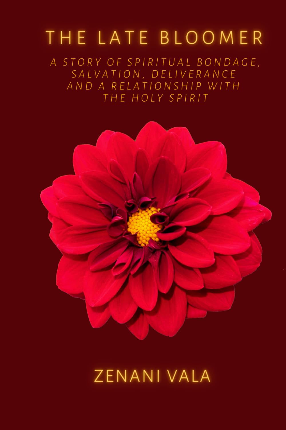 The Late Bloomer: A Story of Spiritual Bondage, Salvation, Deliverance and a Relationship with the Holy Spirit. Religion & Esotericism