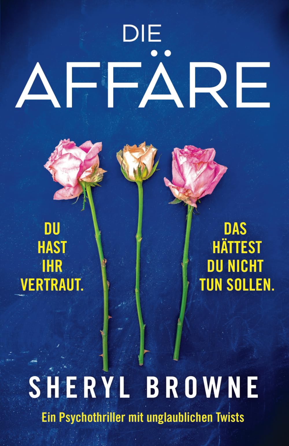 Die Affäre: Ein Psychothriller mit unglaublichen Twists Action & Adventure
