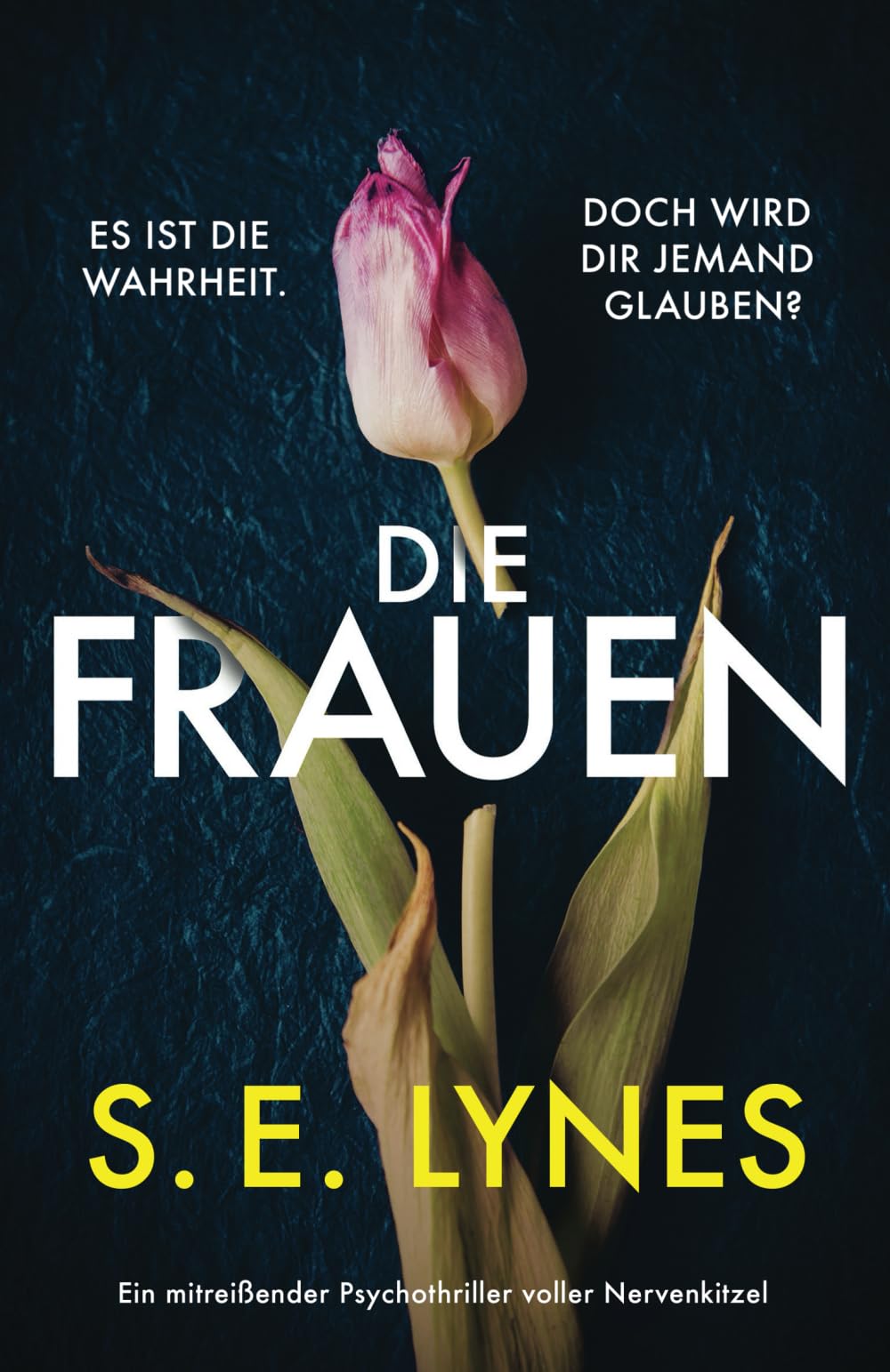 Die Frauen: Ein mitreißender Psychothriller voller Nervenkitzel Action & Adventure