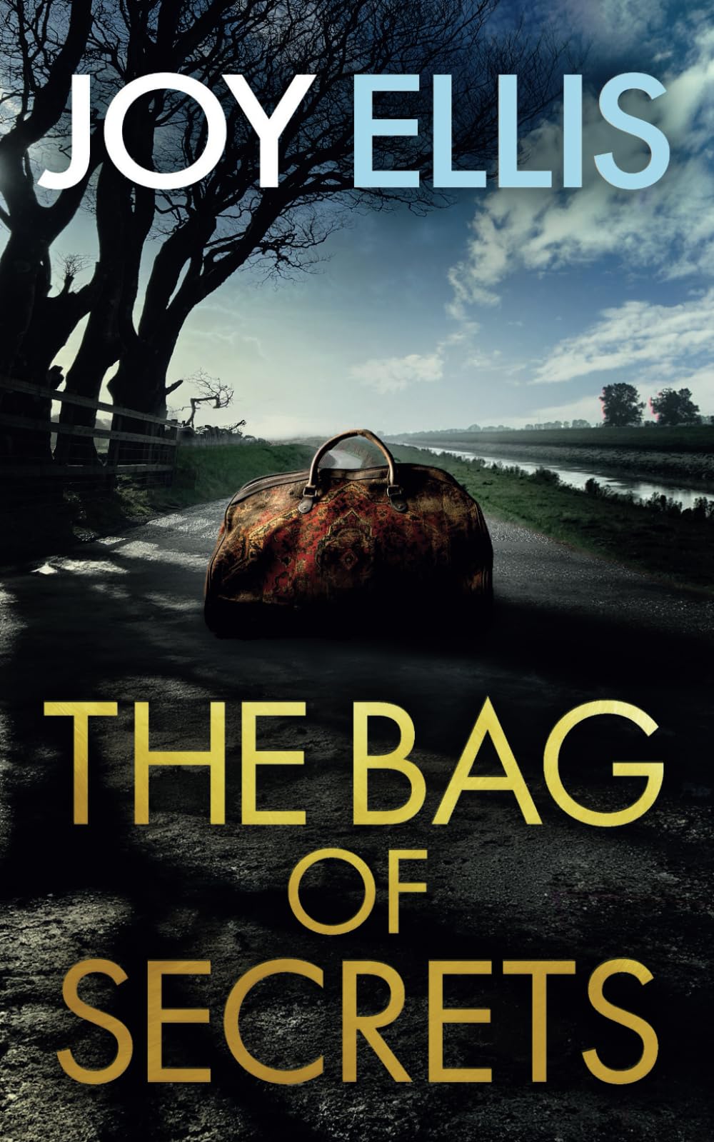 THE BAG OF SECRETS a gripping crime thriller with a huge twist (Detective Matt Ballard Mystery, Band 6) Detective & CSI