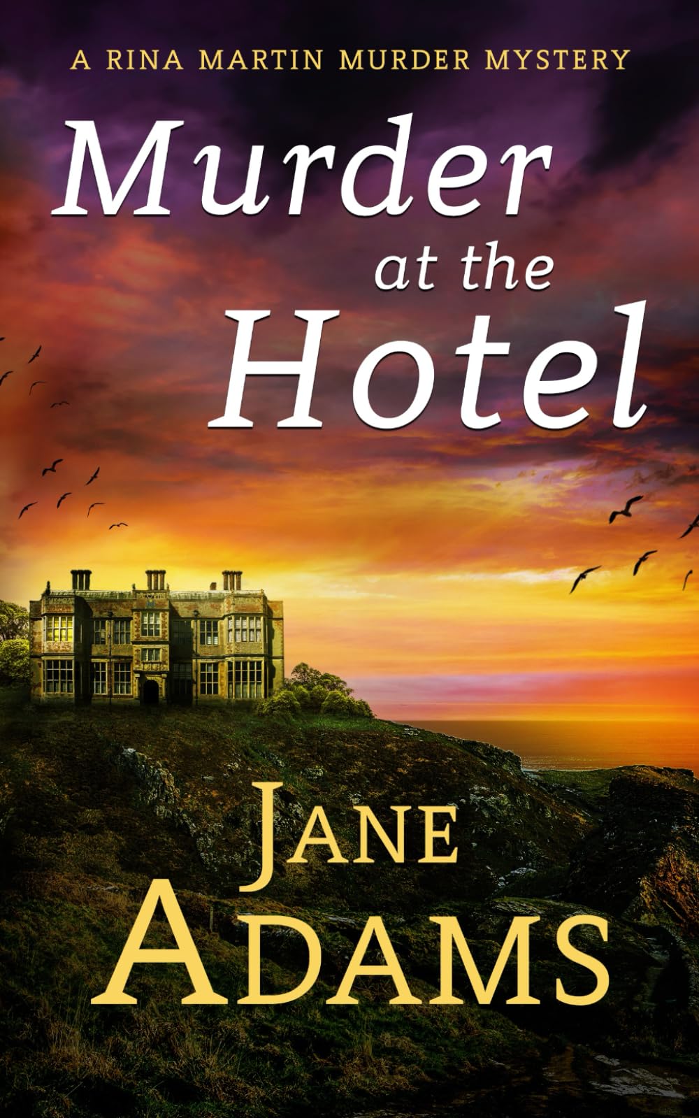 MURDER AT THE HOTEL: A gripping cozy crime mystery full of twists (Rina Martin Murder Mystery, Band 10) Cosy Mystery & Humour