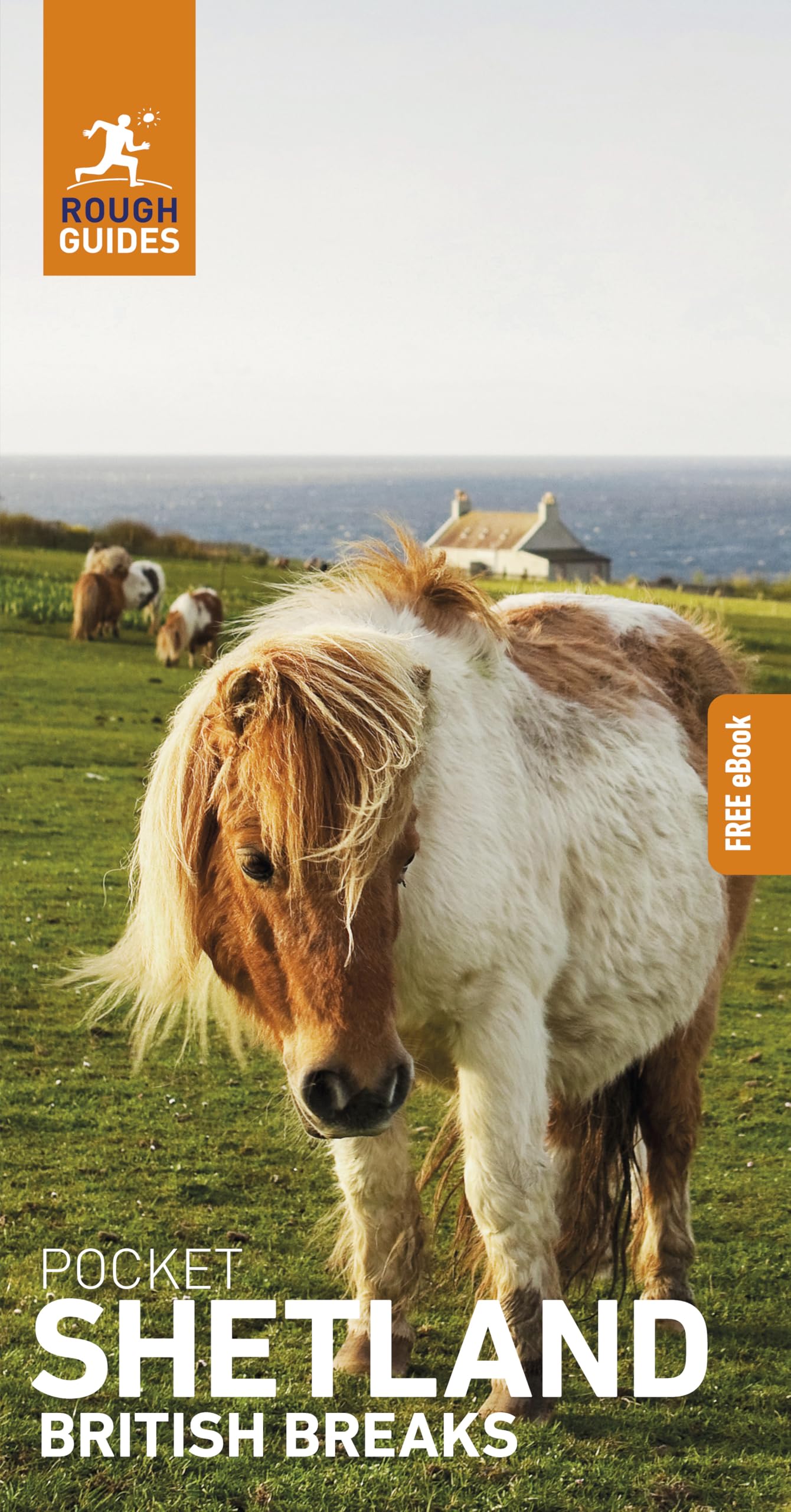 Rough Guides Pocket British Breaks Shetland: Travel Guide with eBook Leisure, Home & Garden