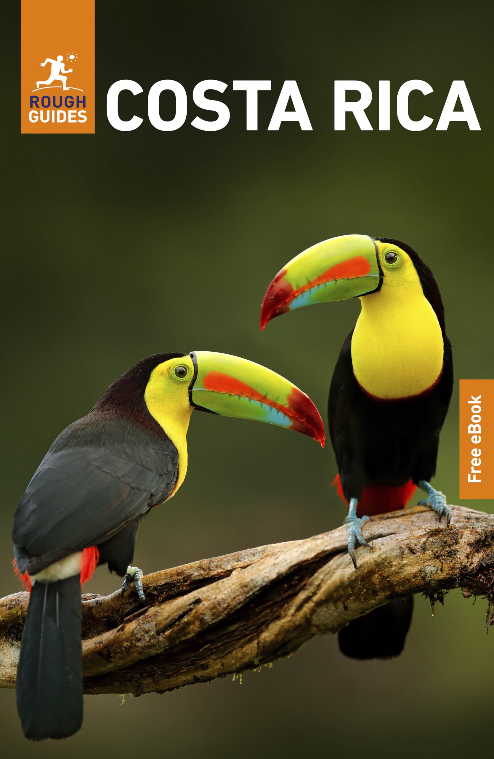 Rough Guides Costa Rica: Travel Guide with eBook Leisure, Home & Garden
