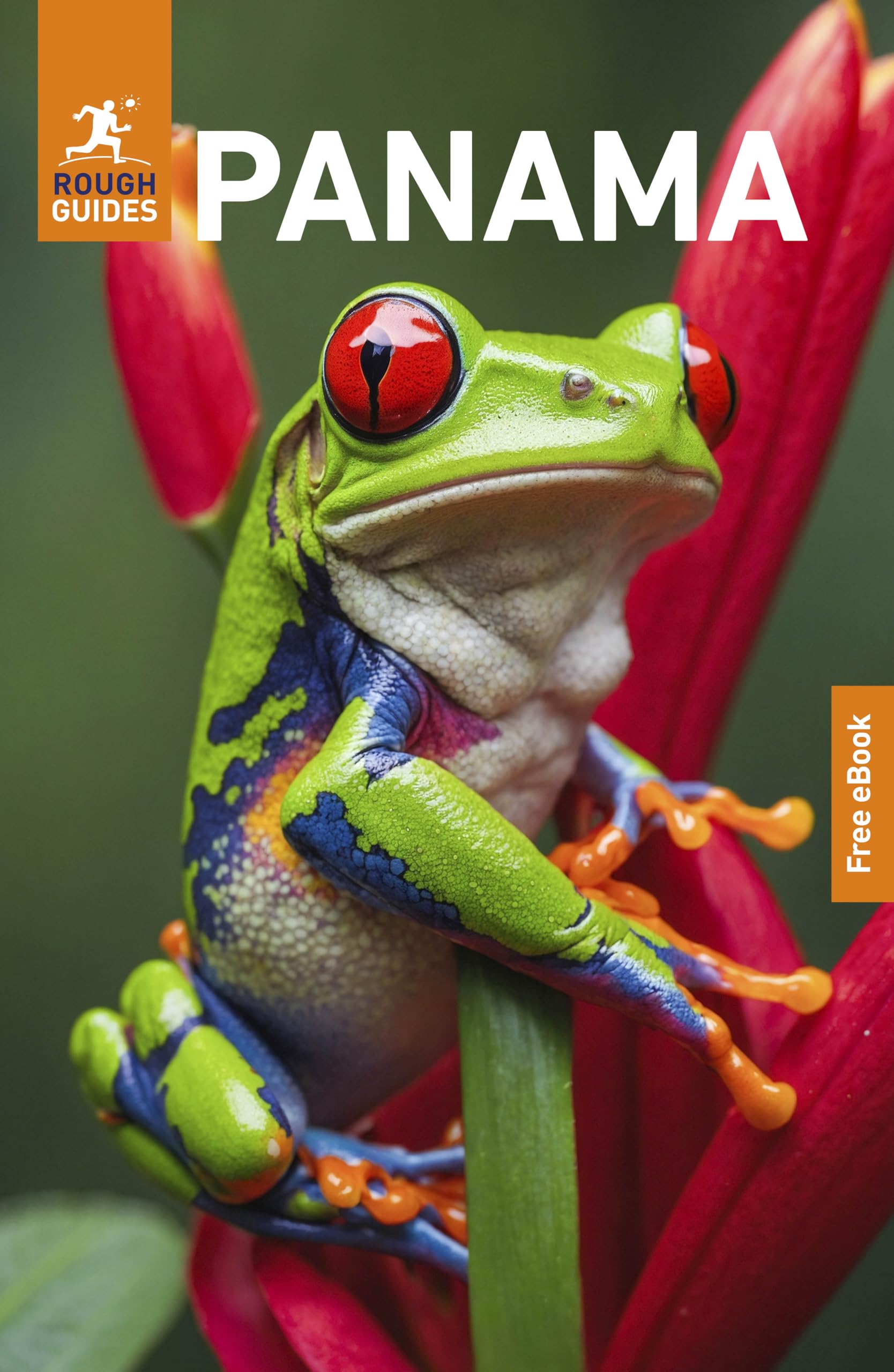 Rough Guides Panama: Travel Guide with eBook Leisure, Home & Garden
