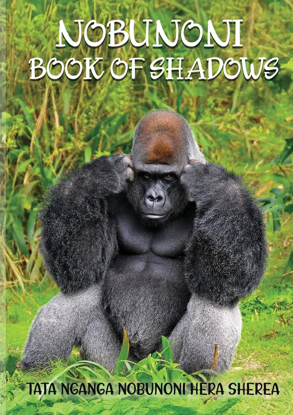 Nobunoni Book Of Shadows Memories