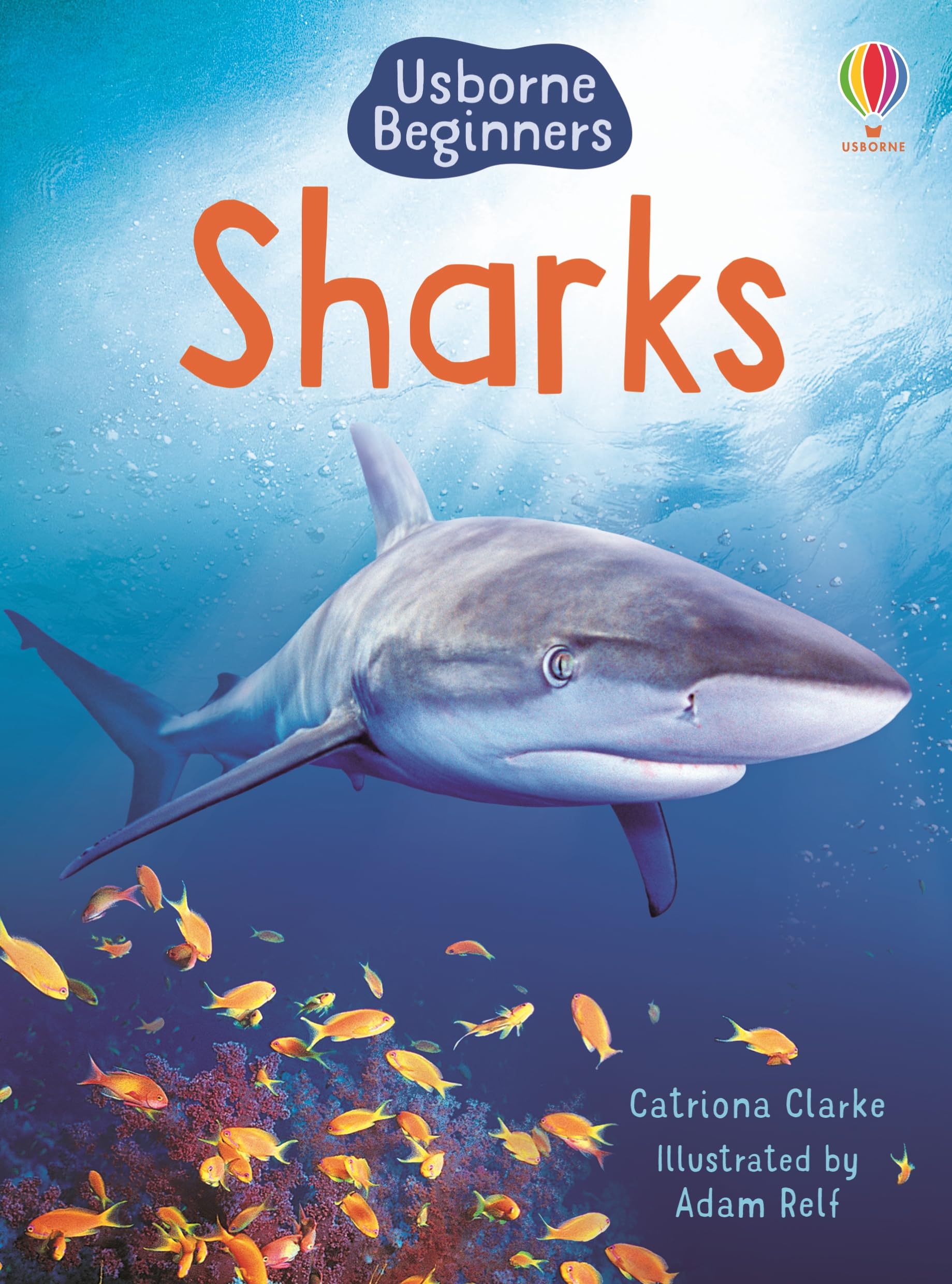 Sharks: Fun Facts and Stories About Sharks, Perfect for Kids Celebrating Shark Week (Beginners) Novels & Short Stories