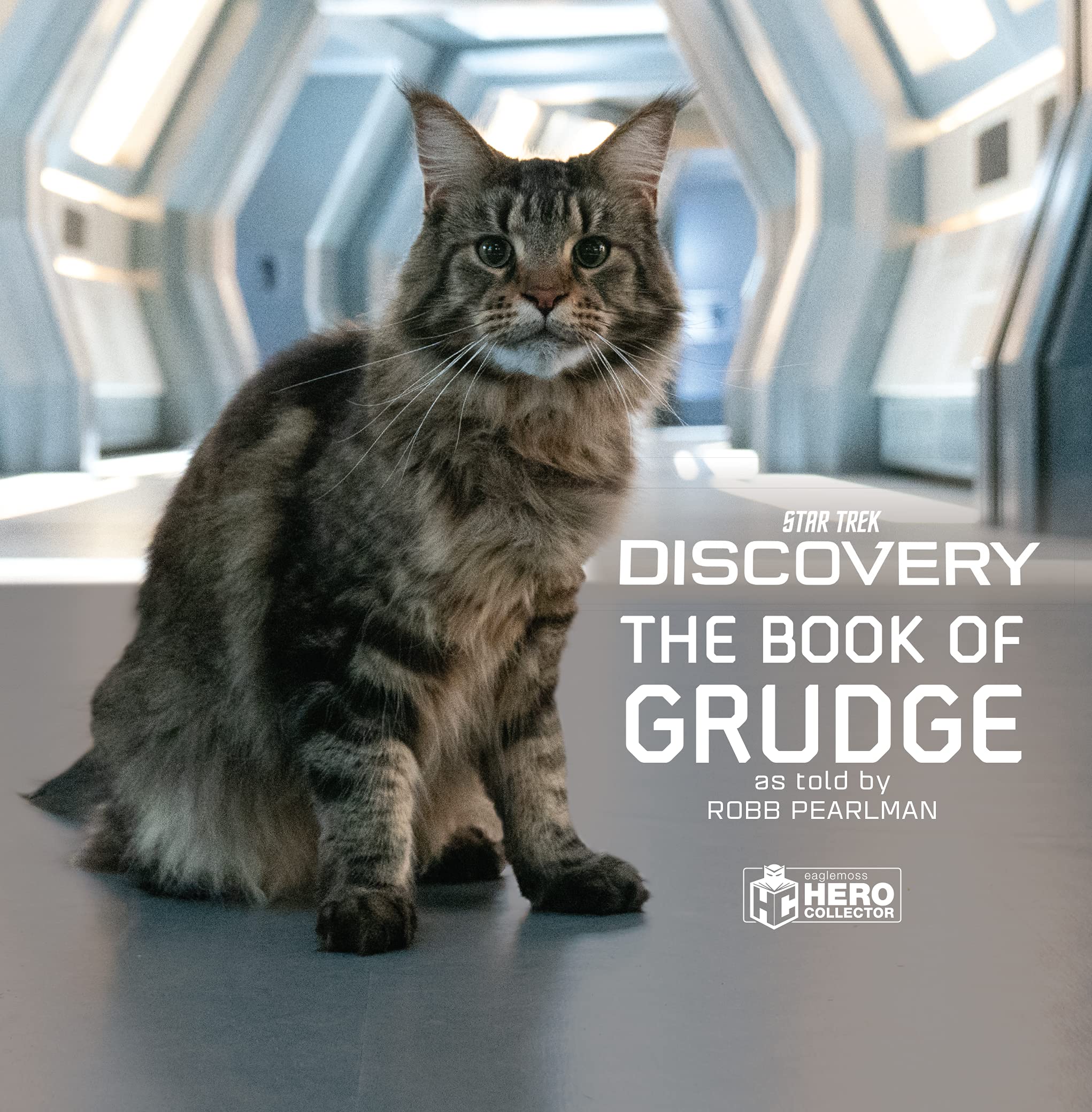 Star Trek Discovery: The Book of Grudge Contemporary literature