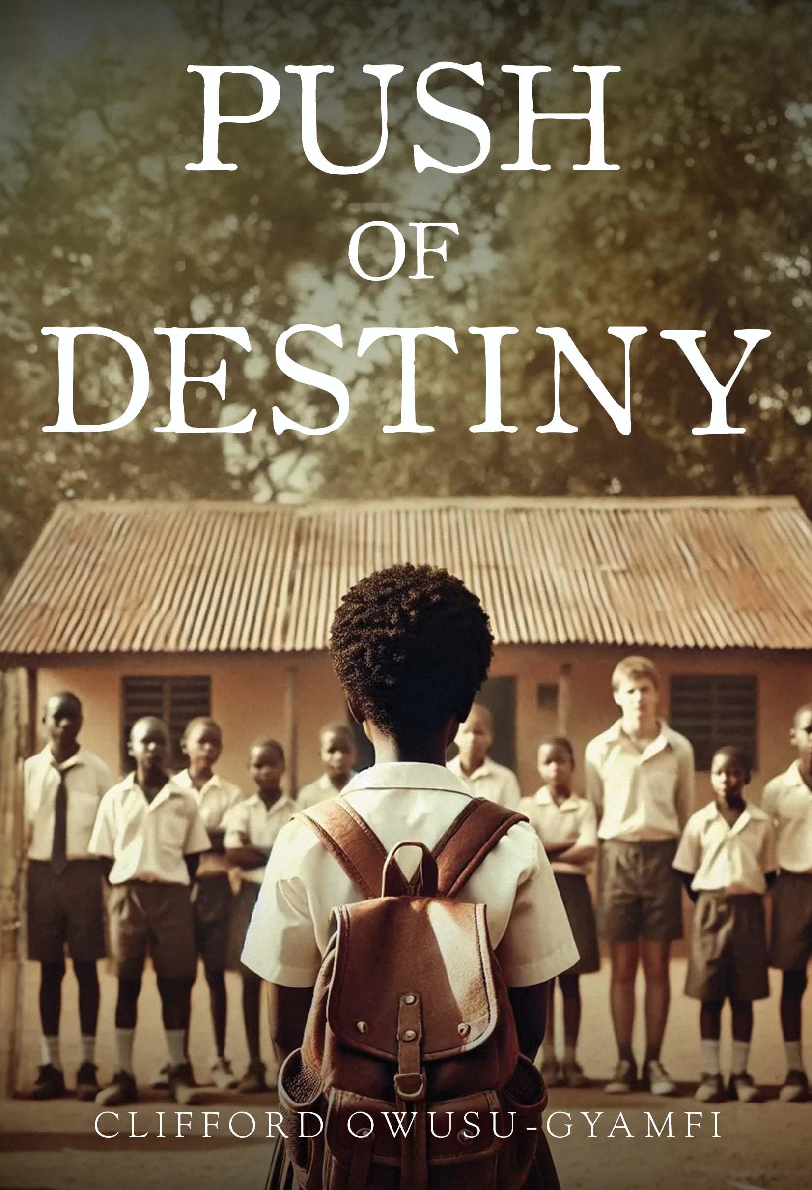 Push of Destiny Contemporary literature