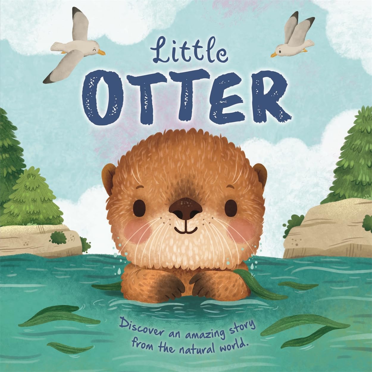 Little Otter (An illustrated story about the life-cycle of an otter) Non-fiction