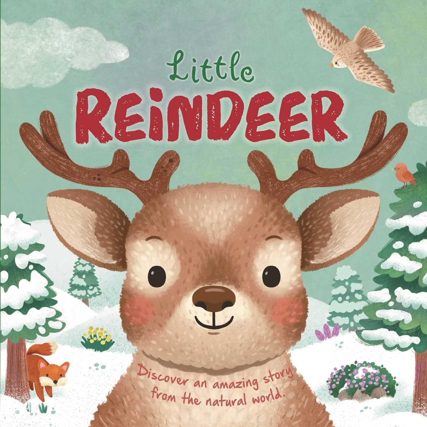 Little Reindeer (Nature Stories) Parents & Children