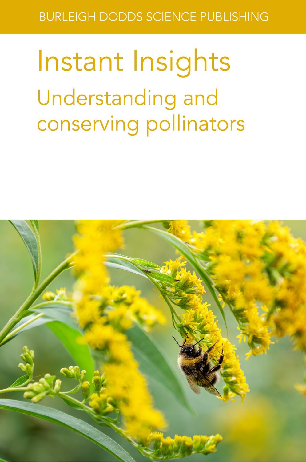 Instant Insights: Understanding and Conserving Pollinators (Burleigh Dodds Science: Instant Insights, Band 117) Business, Finance & Career