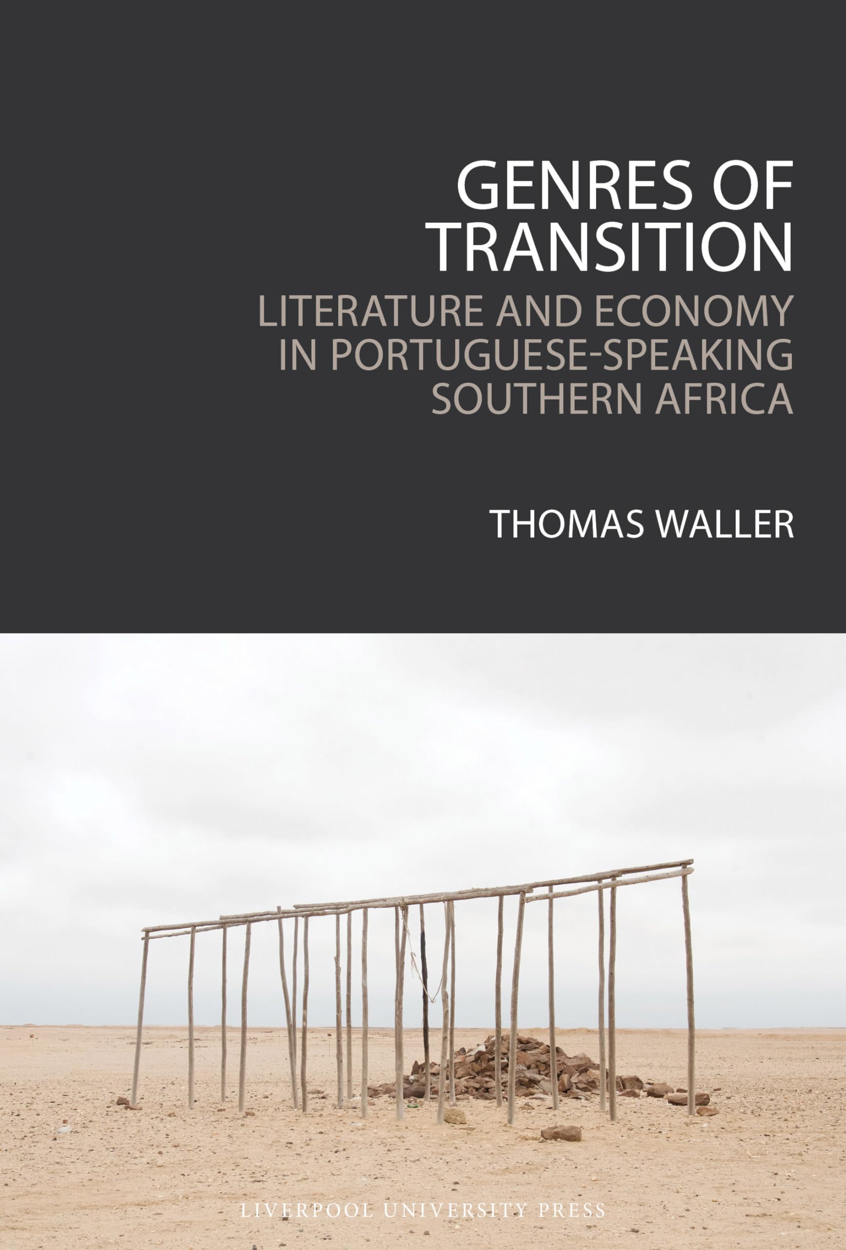 Genres of Transition: Literature and Economy in Portuguese-speaking Southern Africa Contemporary literature