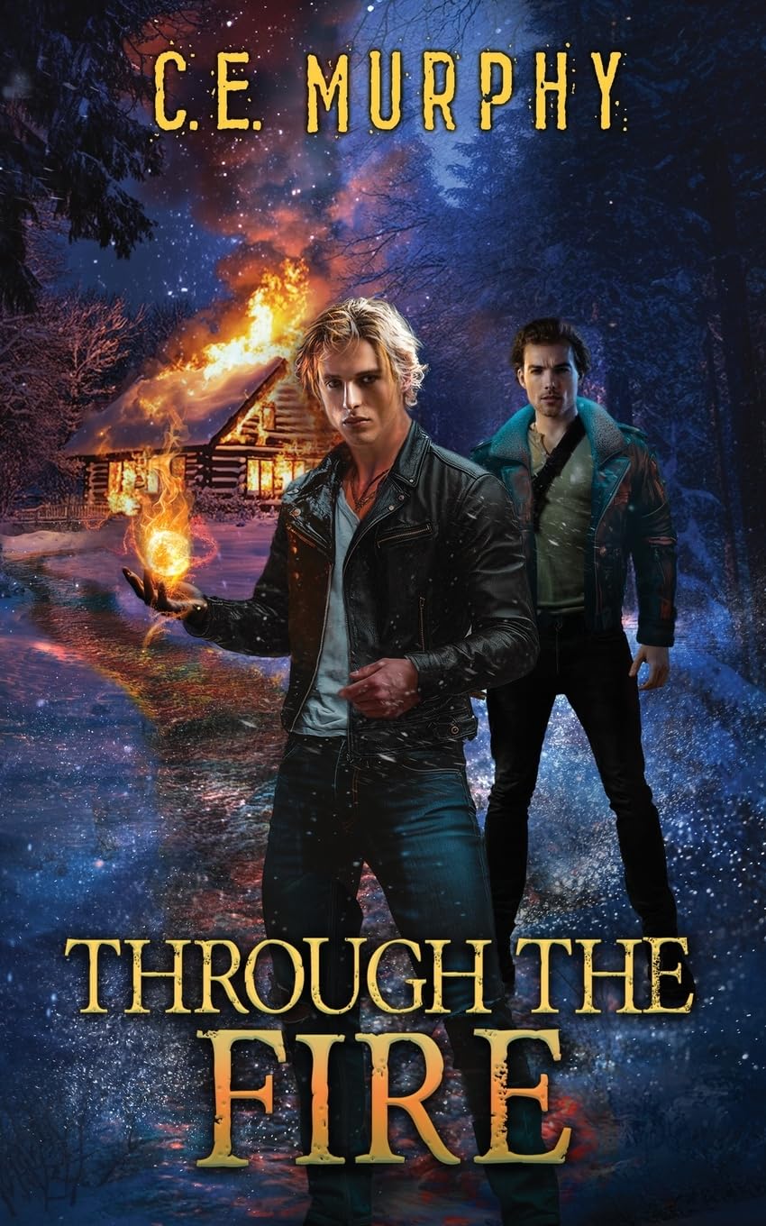 Through the Fire Historical Fiction