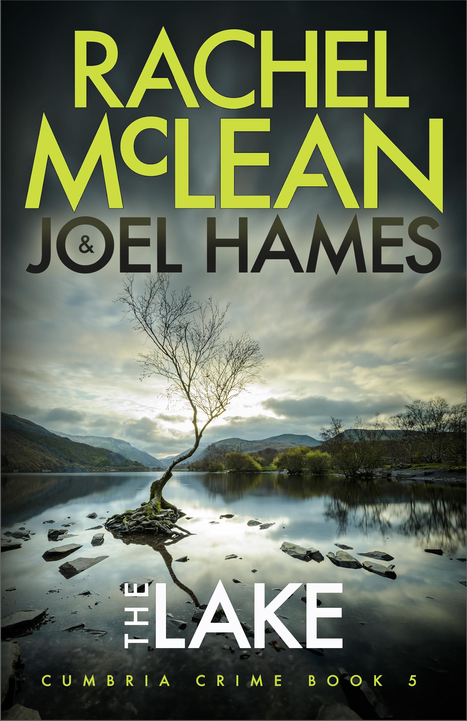 The Lake (Cumbria Crime, Band 5) Contemporary literature