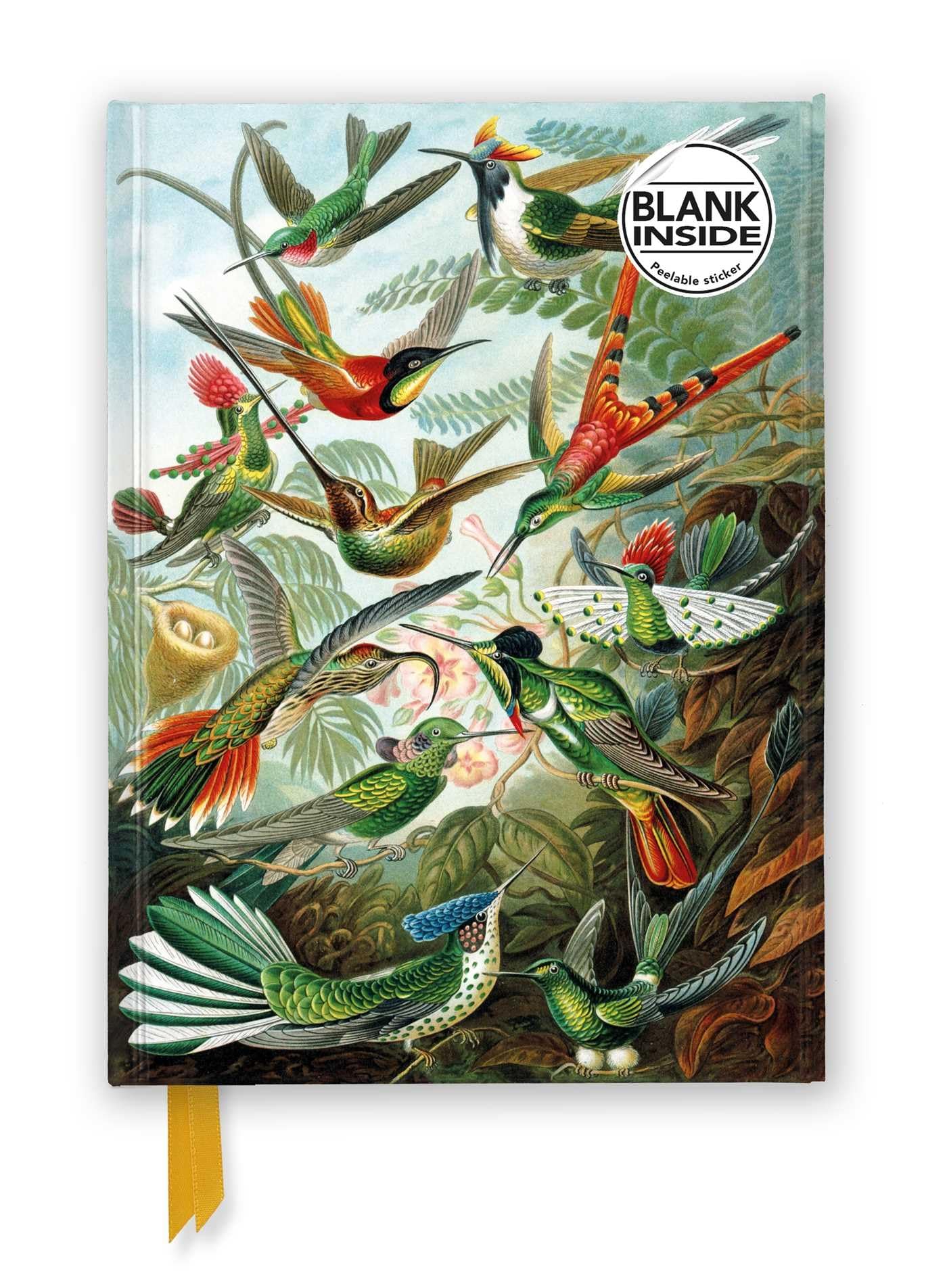 Premium Notizbuch Blank DIN A5: Ernst Haeckel, Kolibris: Unser hochwertiges Blankbook mit festem, künstlerisch geprägtem Einband (Premium Notizbuch DIN A 5 mit Magnetverschluss) Media & Communication