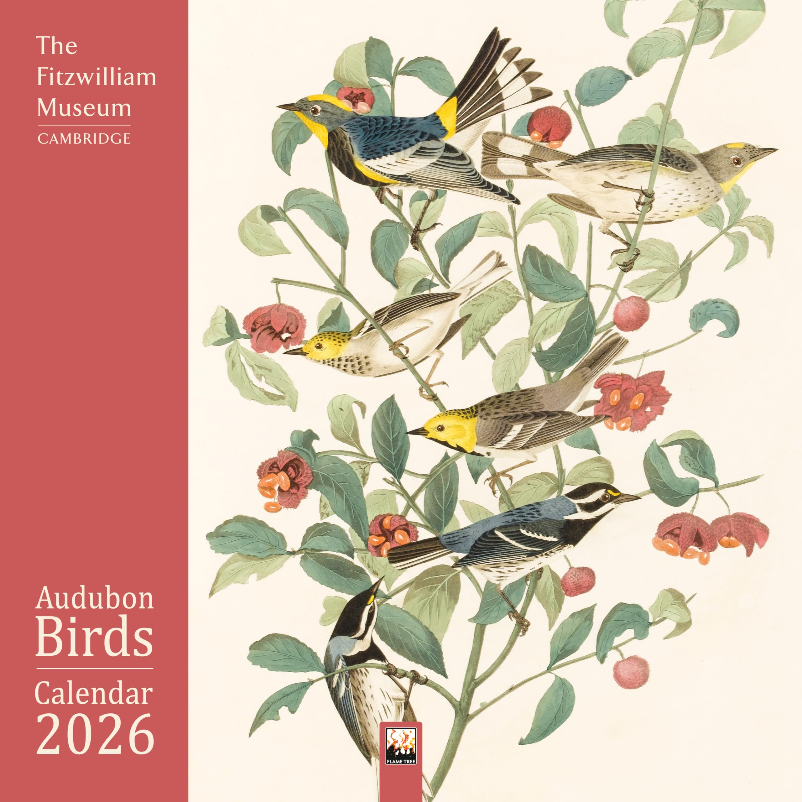 Fitzwilliam Museum: Audubon Birds Wall Calendar 2026 (Art Calendar) Film, Art & Culture