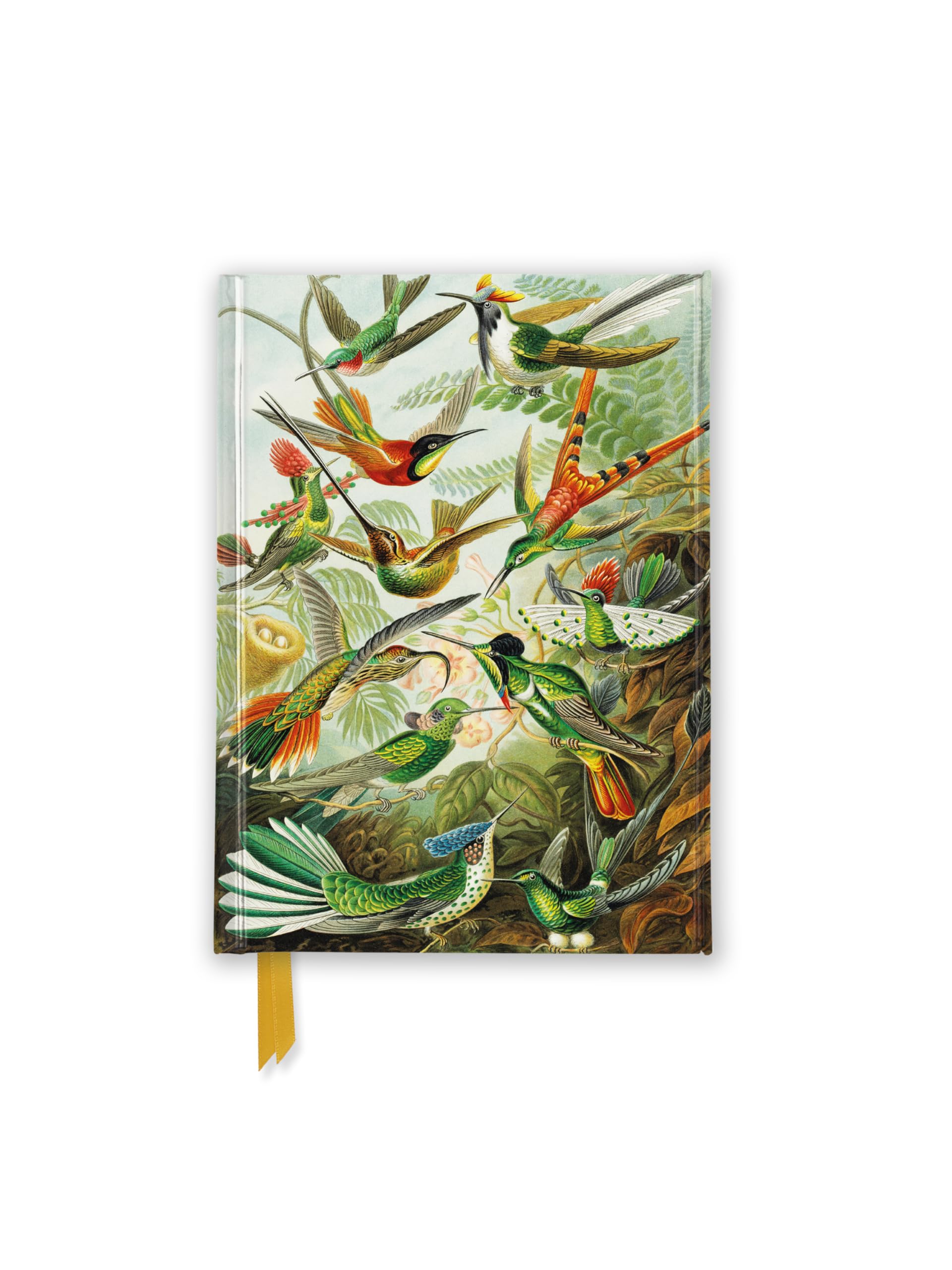 Premium Notizbuch DIN A6: Ernst Haeckel, Kolibris: Unser hochwertiges, liniertes Blankbook mit festem, künstlerisch geprägtem Einband und ... Notizbuch DIN A 6 mit Magnetverschluss) Media & Communication
